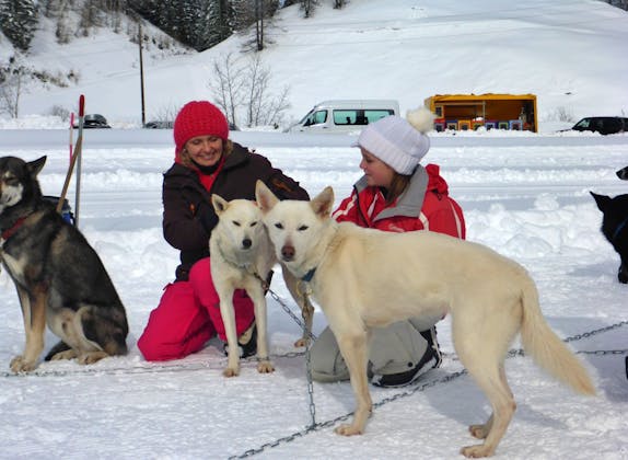 Huskystuff: Passeio de trenó com Huskies no inverno numa paisagem coberta de neve