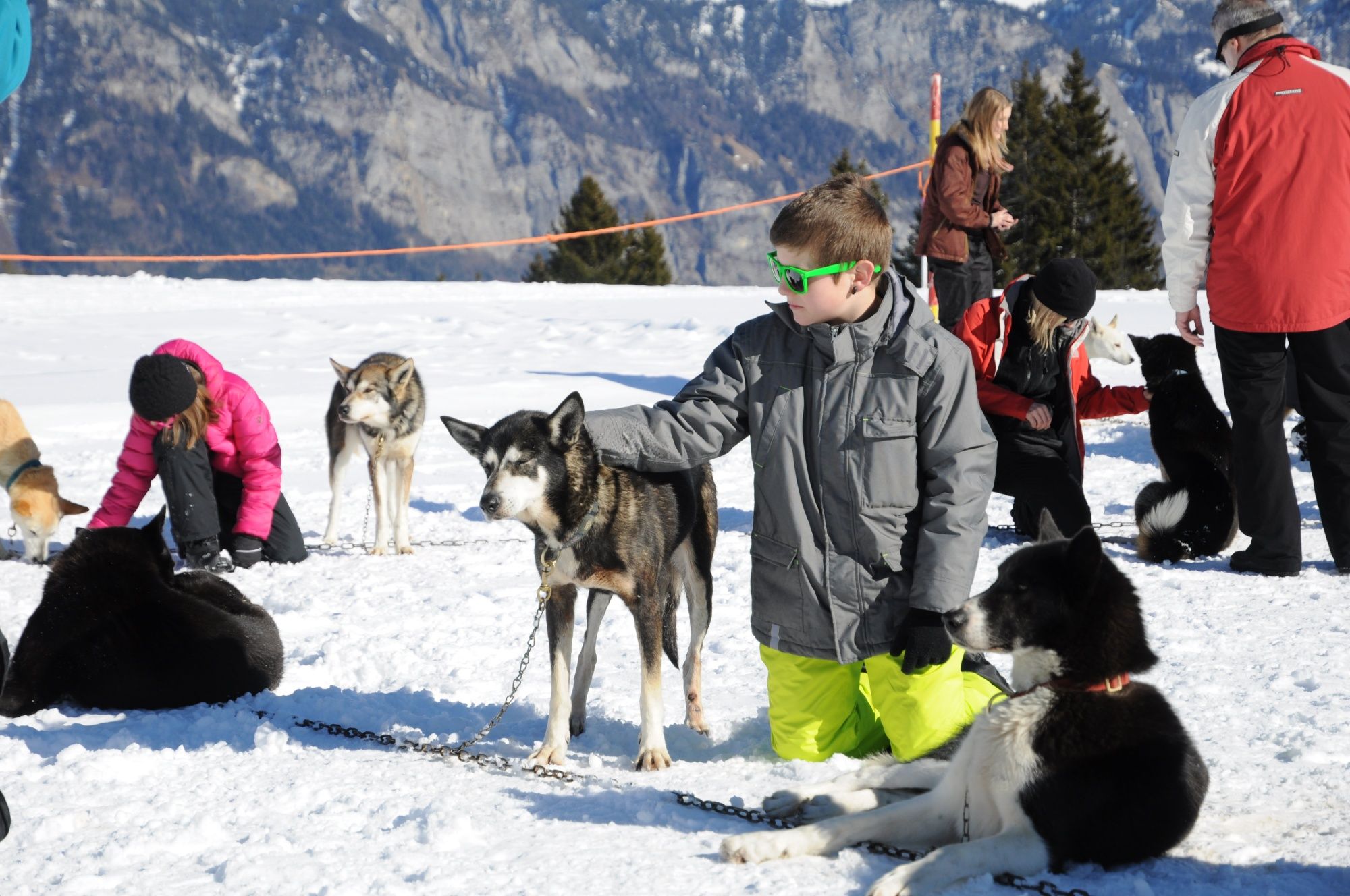 Huskymotion：与哈士奇和孩子们一起在山中体验冬天