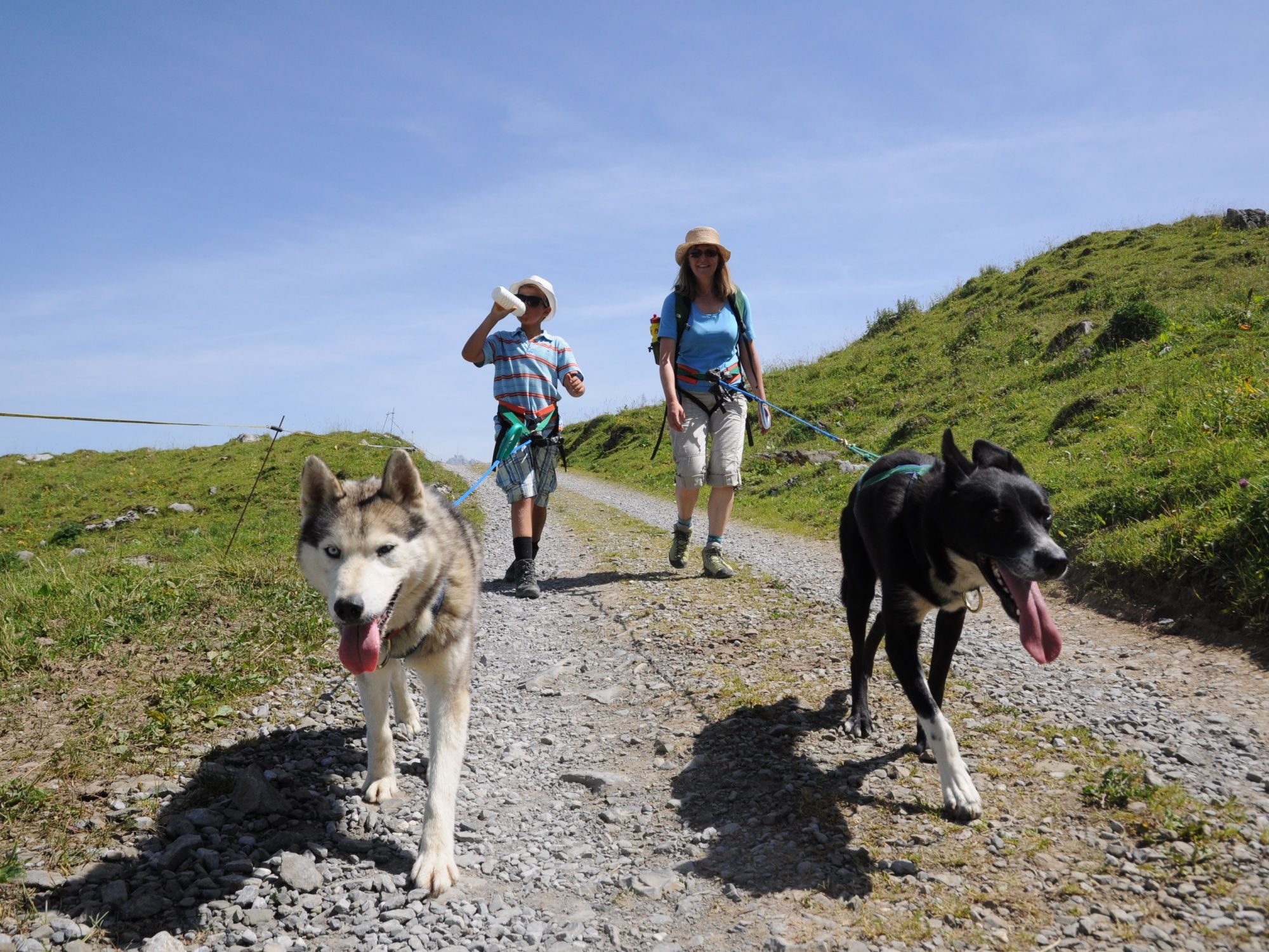 Huskytrekking: Nadšení turisté na výpravě s psy Husky v přírodě
