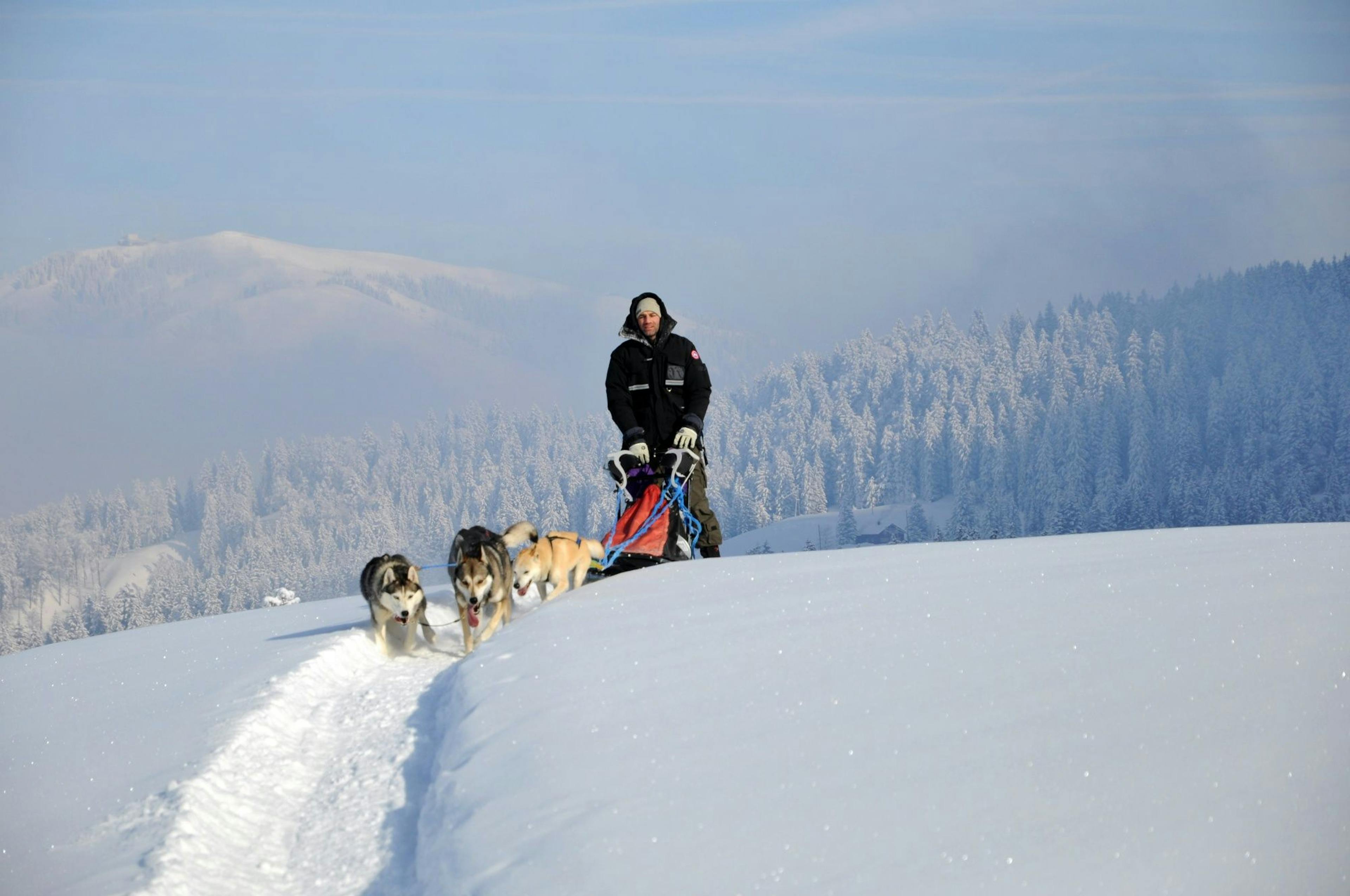 Huskystuff tour de trineo con perros a través de montañas cubiertas de nieve con emocionantes perros en invierno.