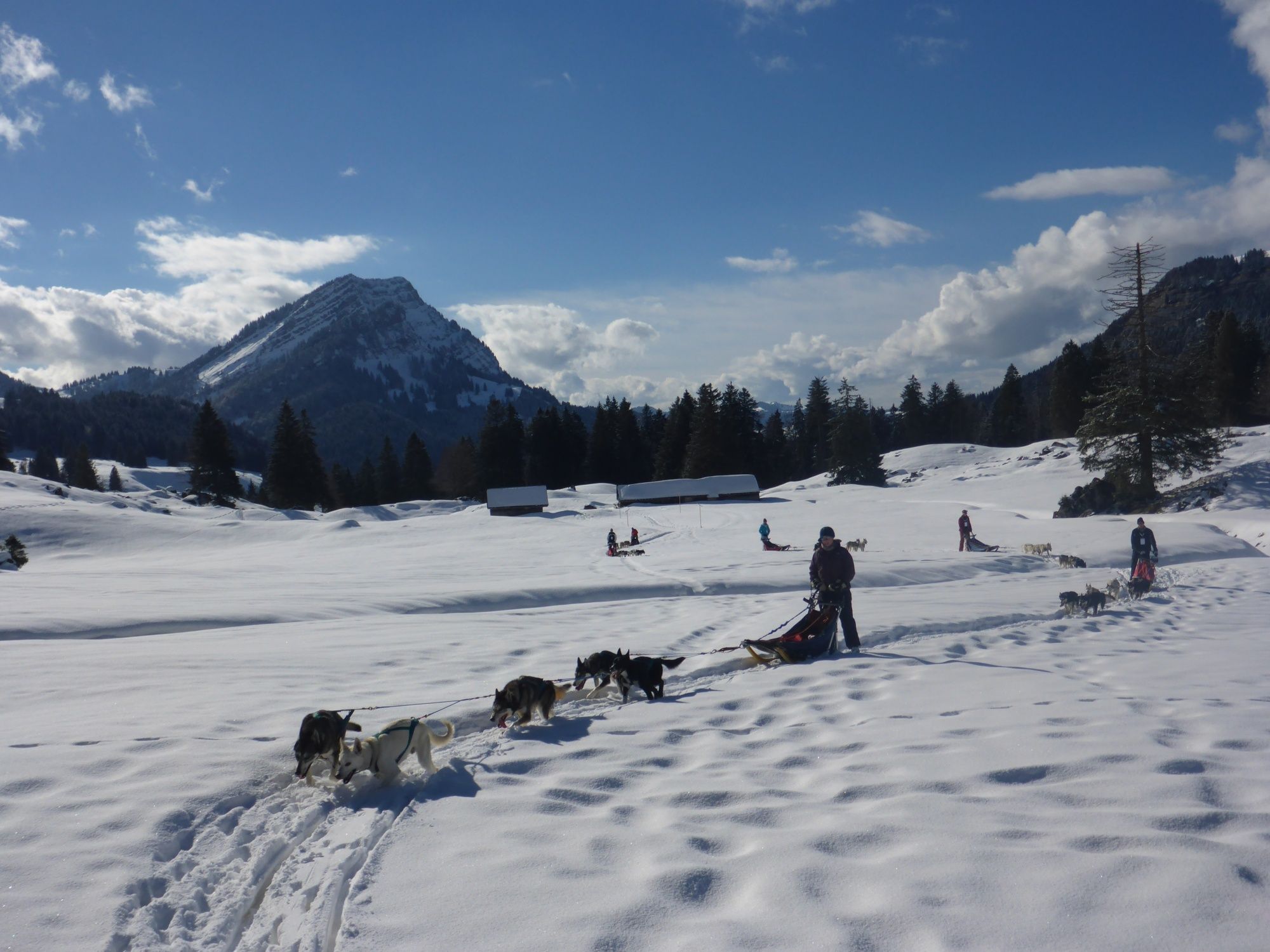 husky tour schweiz