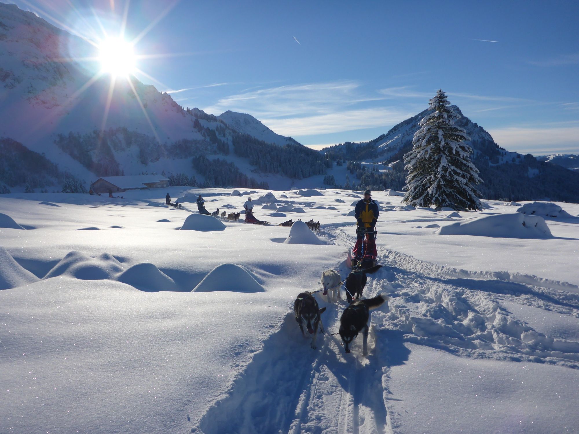 husky tour schweiz