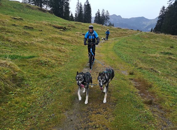 Huskystuff: Bewegung mit Huskys beim Scootern in der Natur, ideal für Outdoor-Abenteuer.