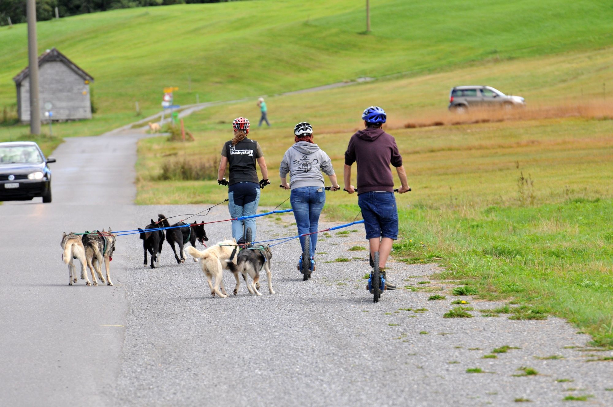 Huskystuff: Enjoy a scooter tour with dogs in nature during summer.