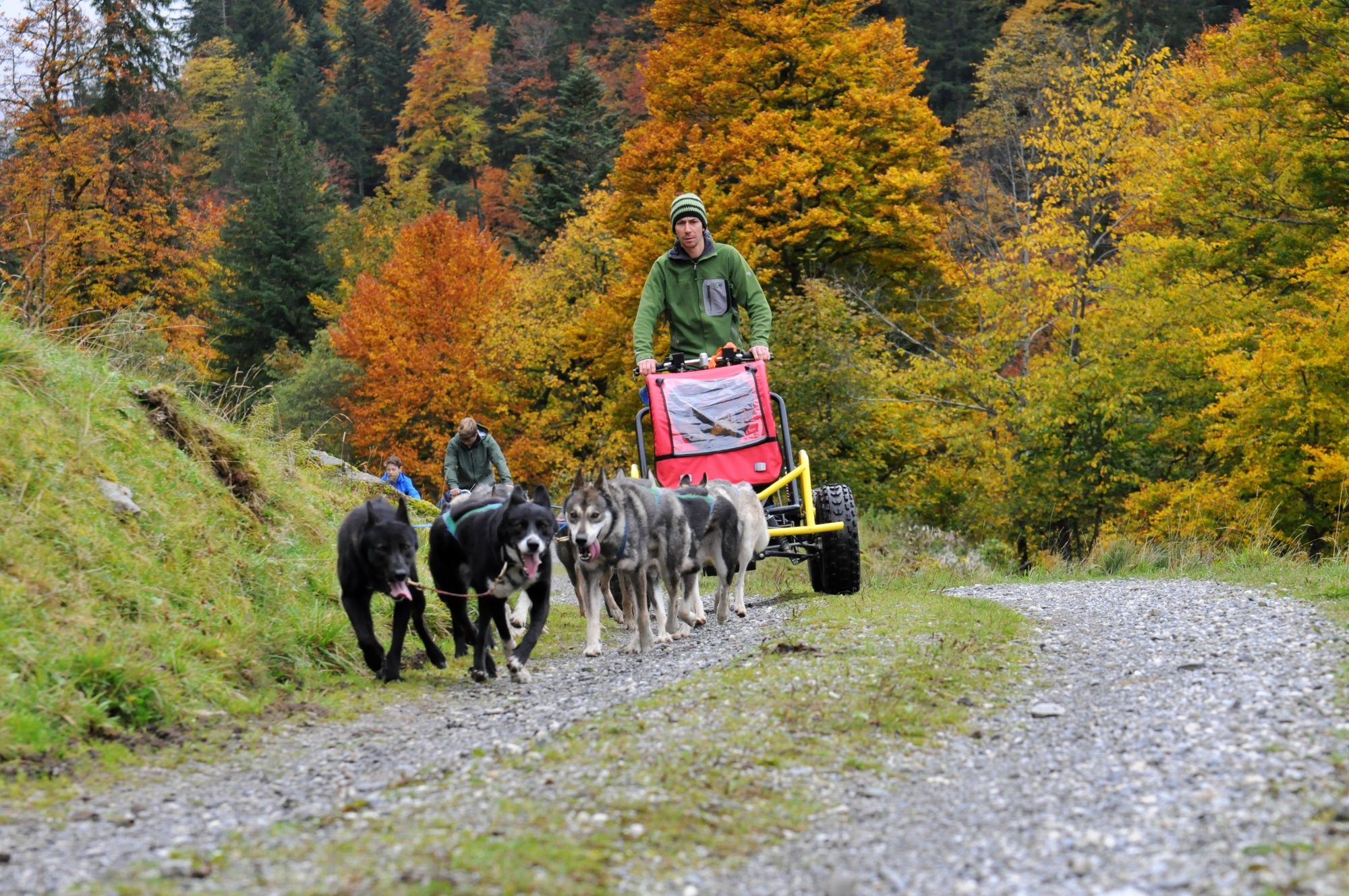 Huskystuff: Lær din hund at gå i snor i naturen om efteråret.