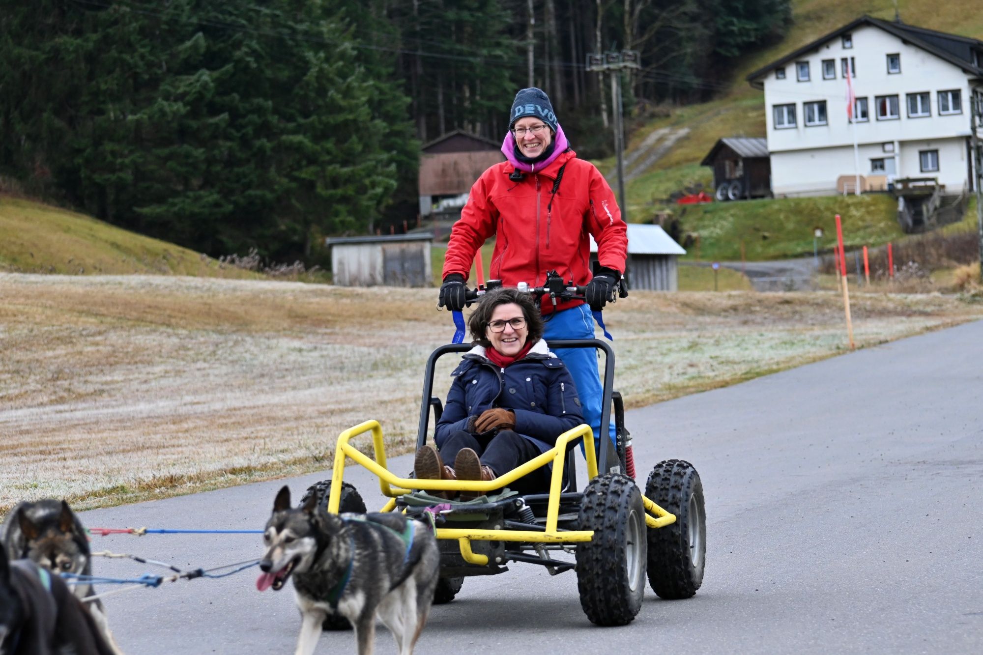 Huskystuff: Oplev hundevægt-træning om vinteren med siberhunde i naturen.