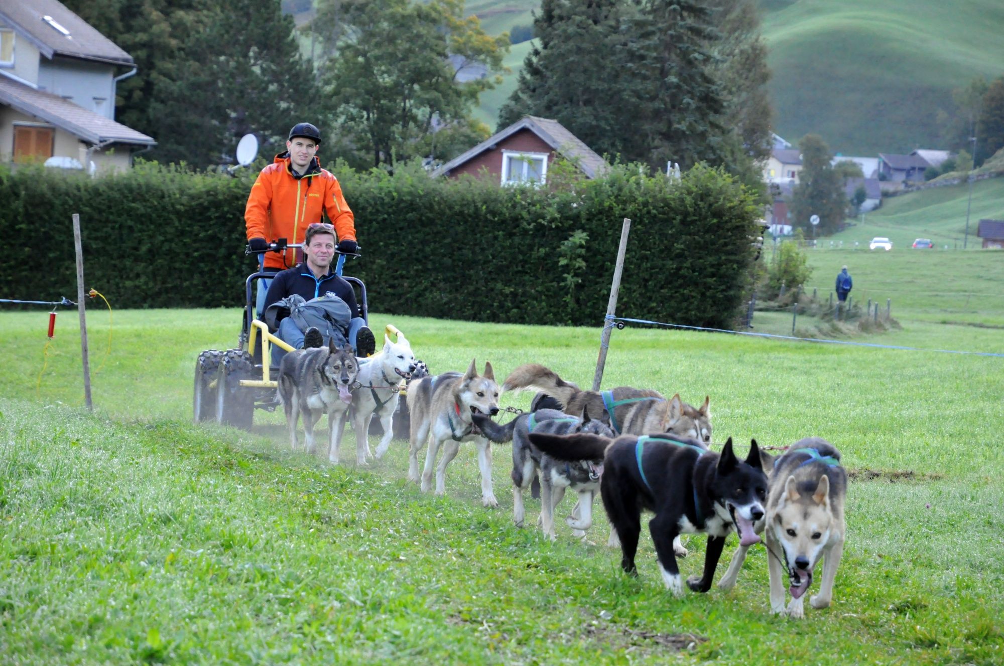 Huskystuff: Vogntræning med hunde i det grønne, perfekt til eventyr med dyr og grupper