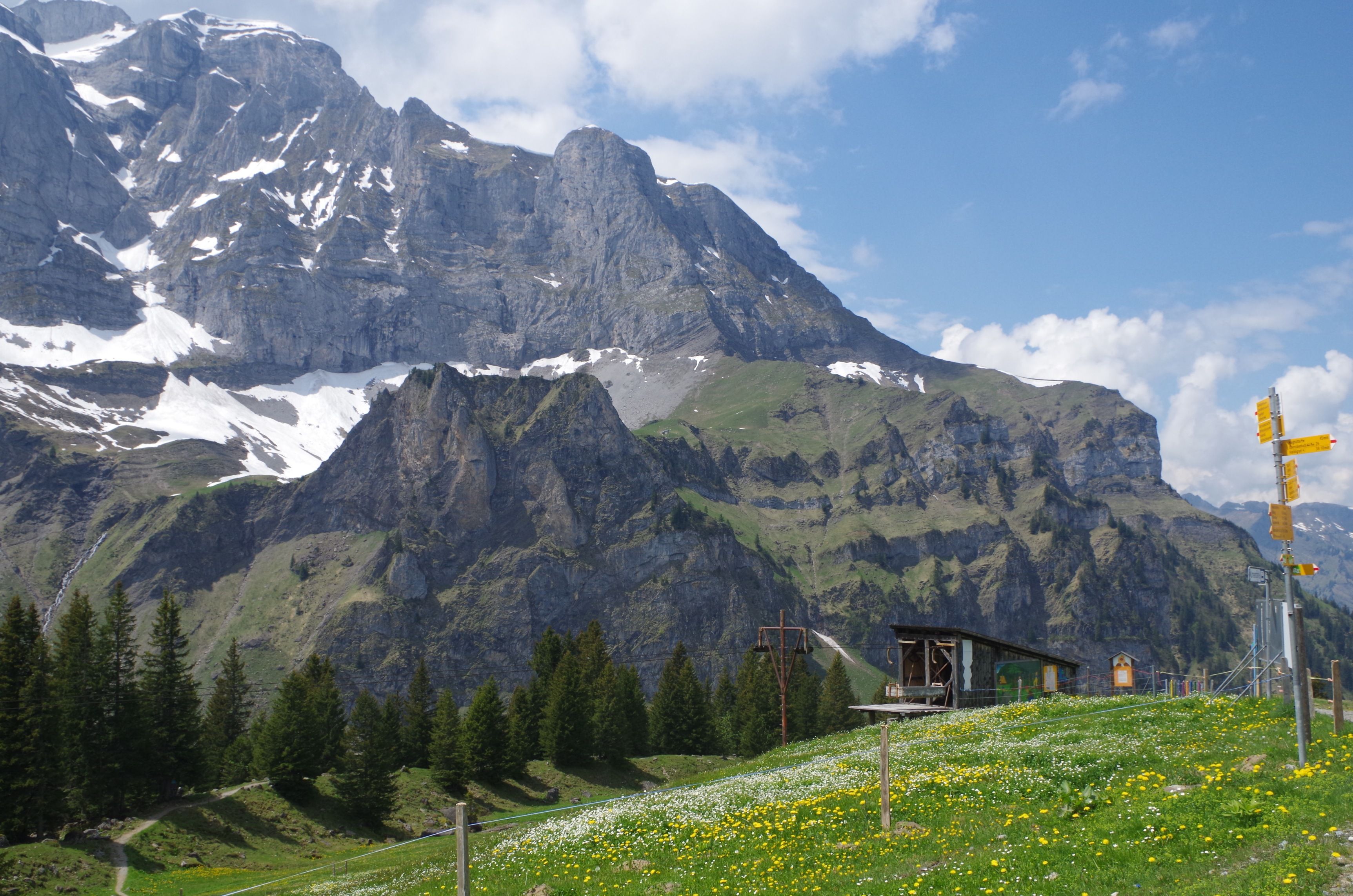 알프혼 코스: 아름다운 반날프 산악 풍경 속에서 알프혼 연주를 경험해 보세요.