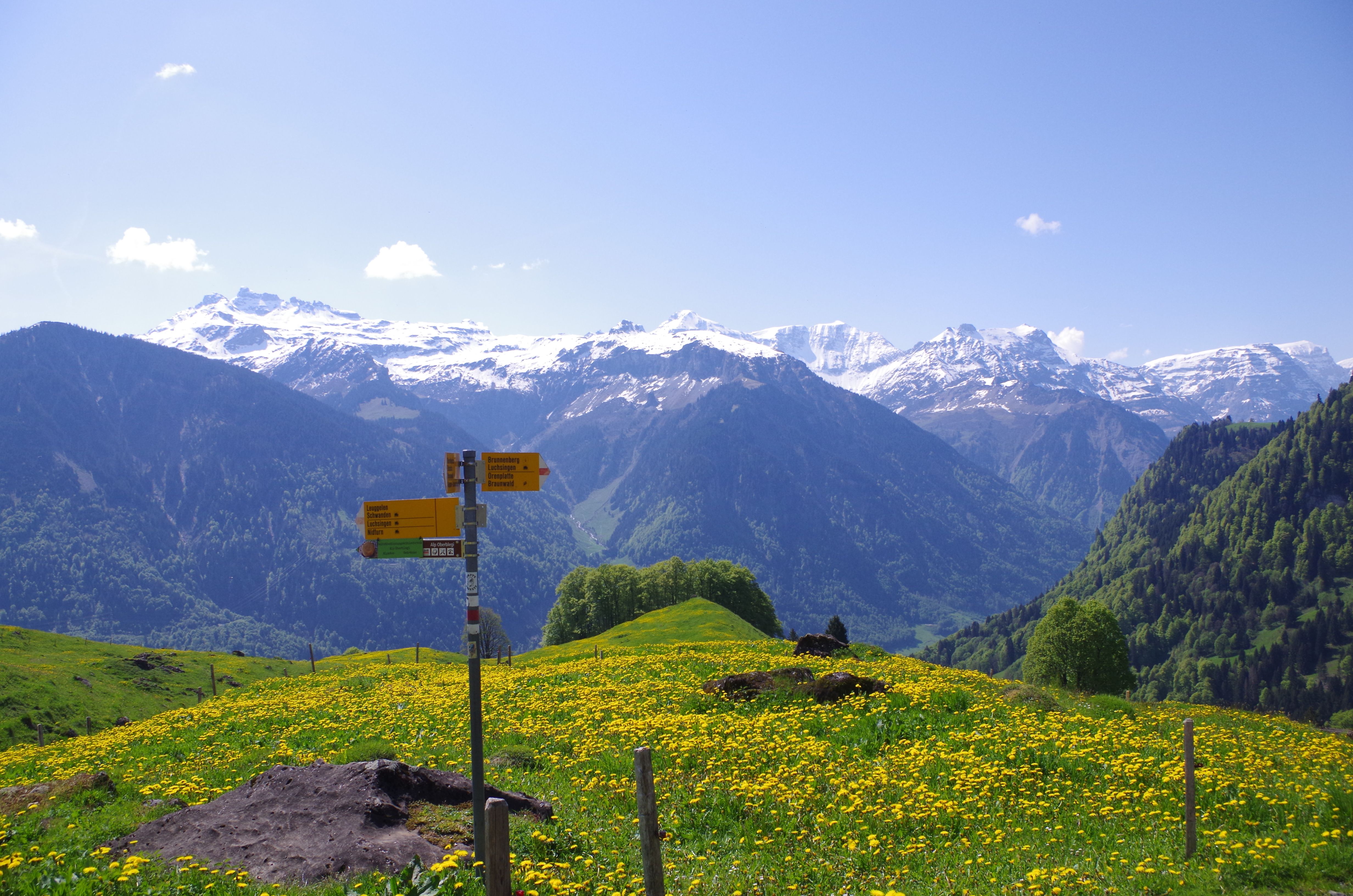 Curso de Alphorn em Oberblegisee nas montanhas com uma bela vista panorâmica sobre os picos alpinos circundantes.