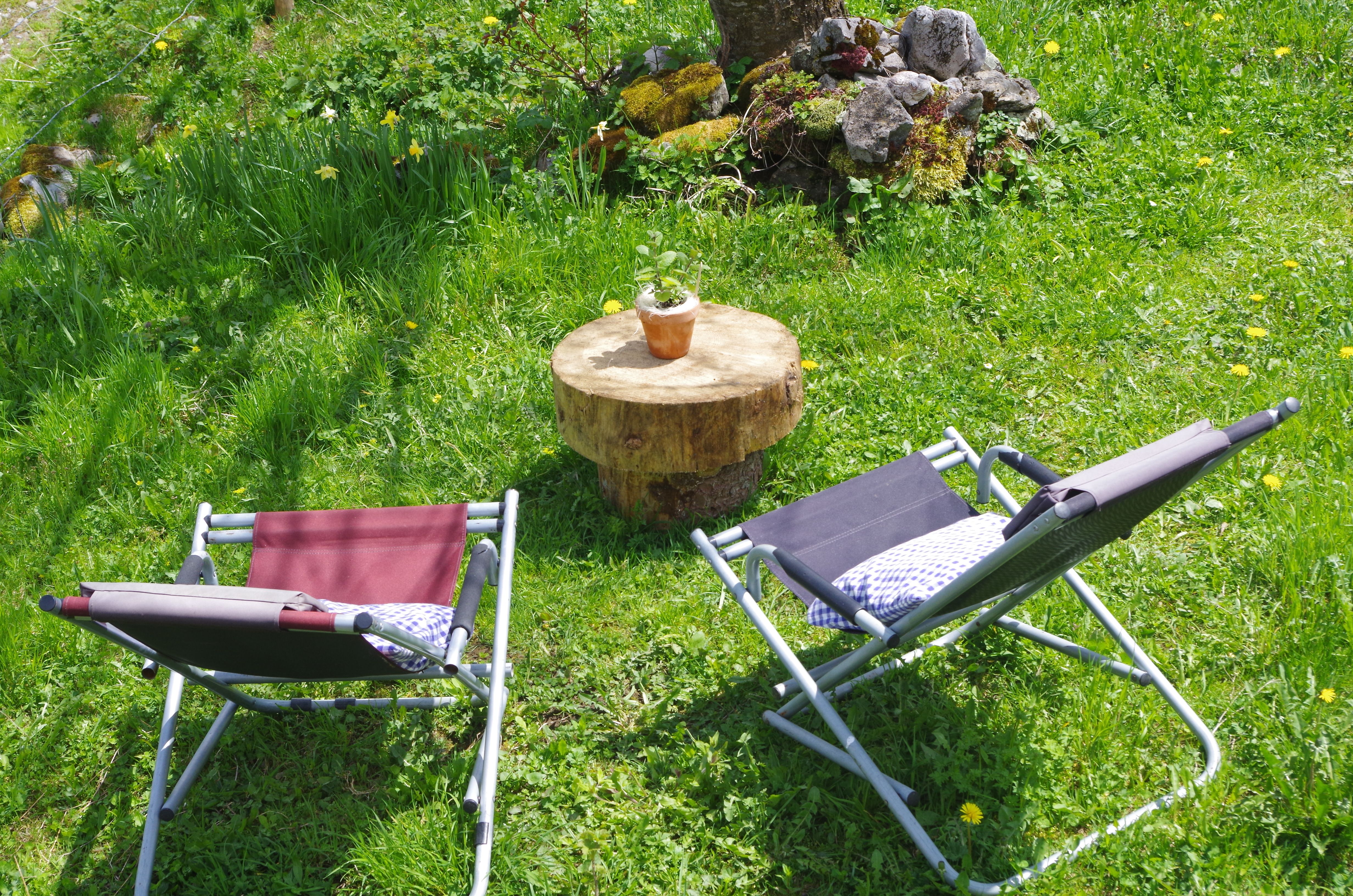 Curso de Alphorn: relaxa na natureza idílica do Oberblegisee, desfruta da calma e da envolvência verde.