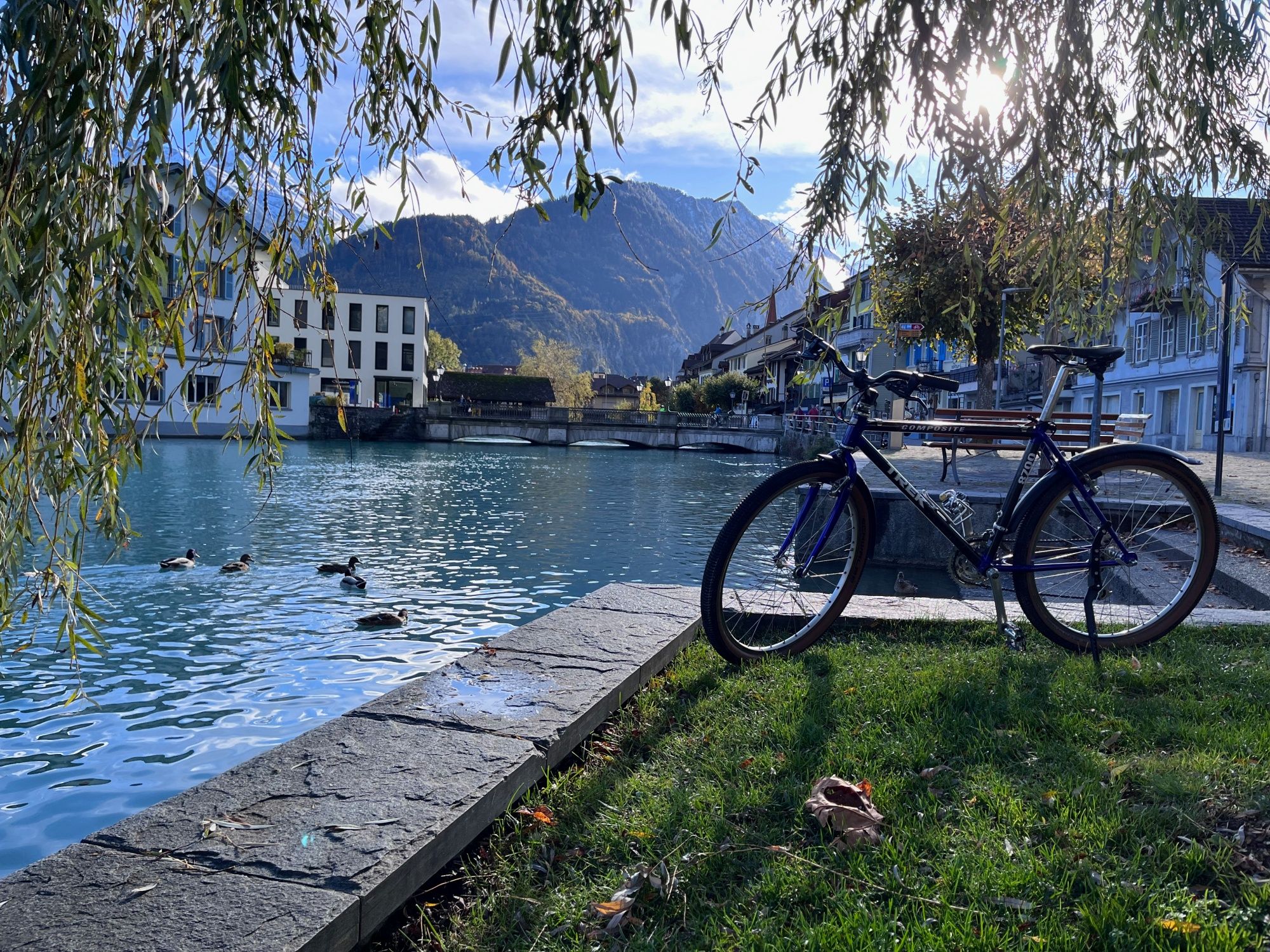 Passeio de bicicleta à beira do lago claro com bicicletas modernas e patos ao fundo, aproveitando a natureza.