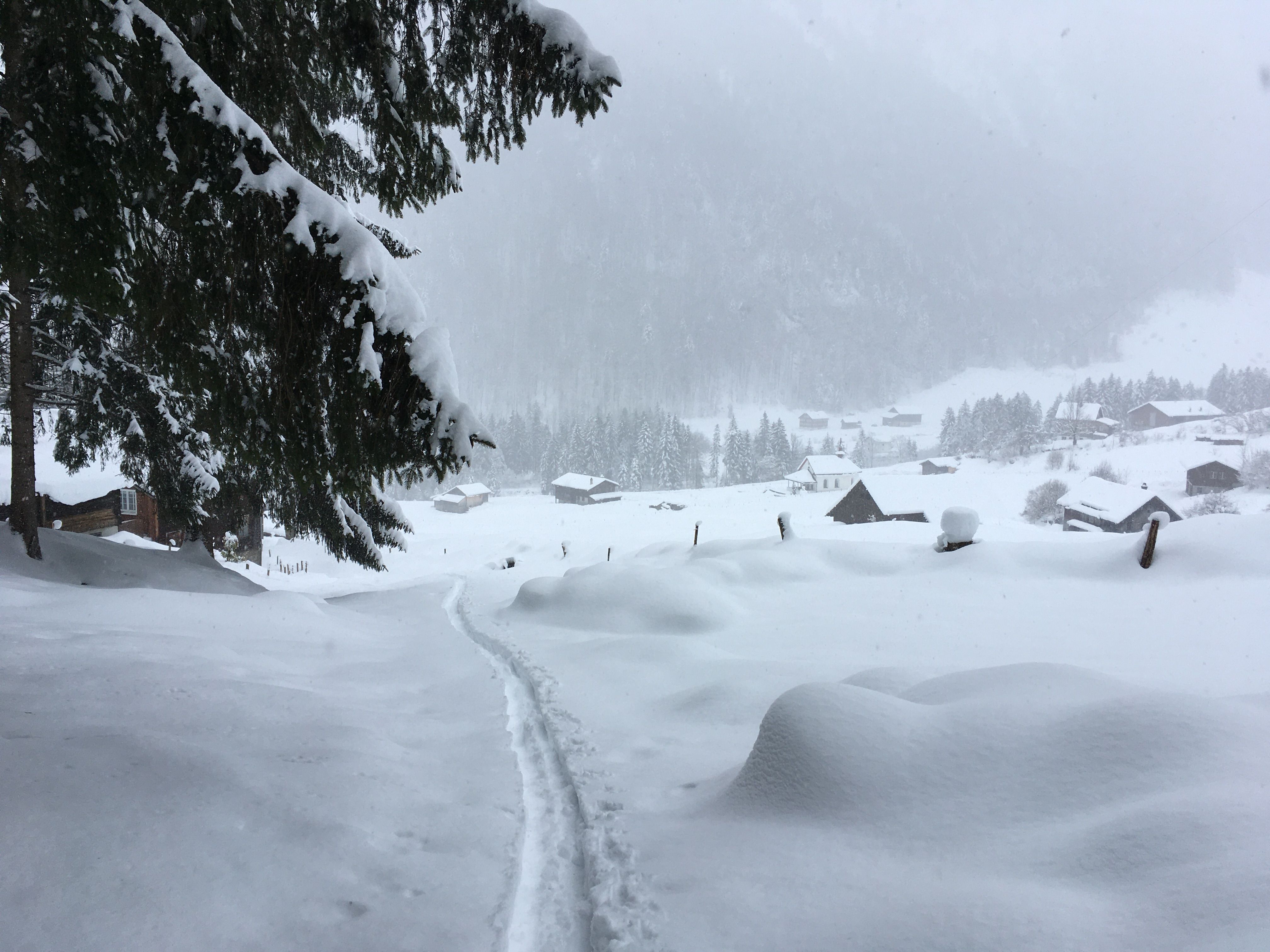 Snöskovandring i ett snöklätt vinterlandskap med majestätiska berg och klar sikt.