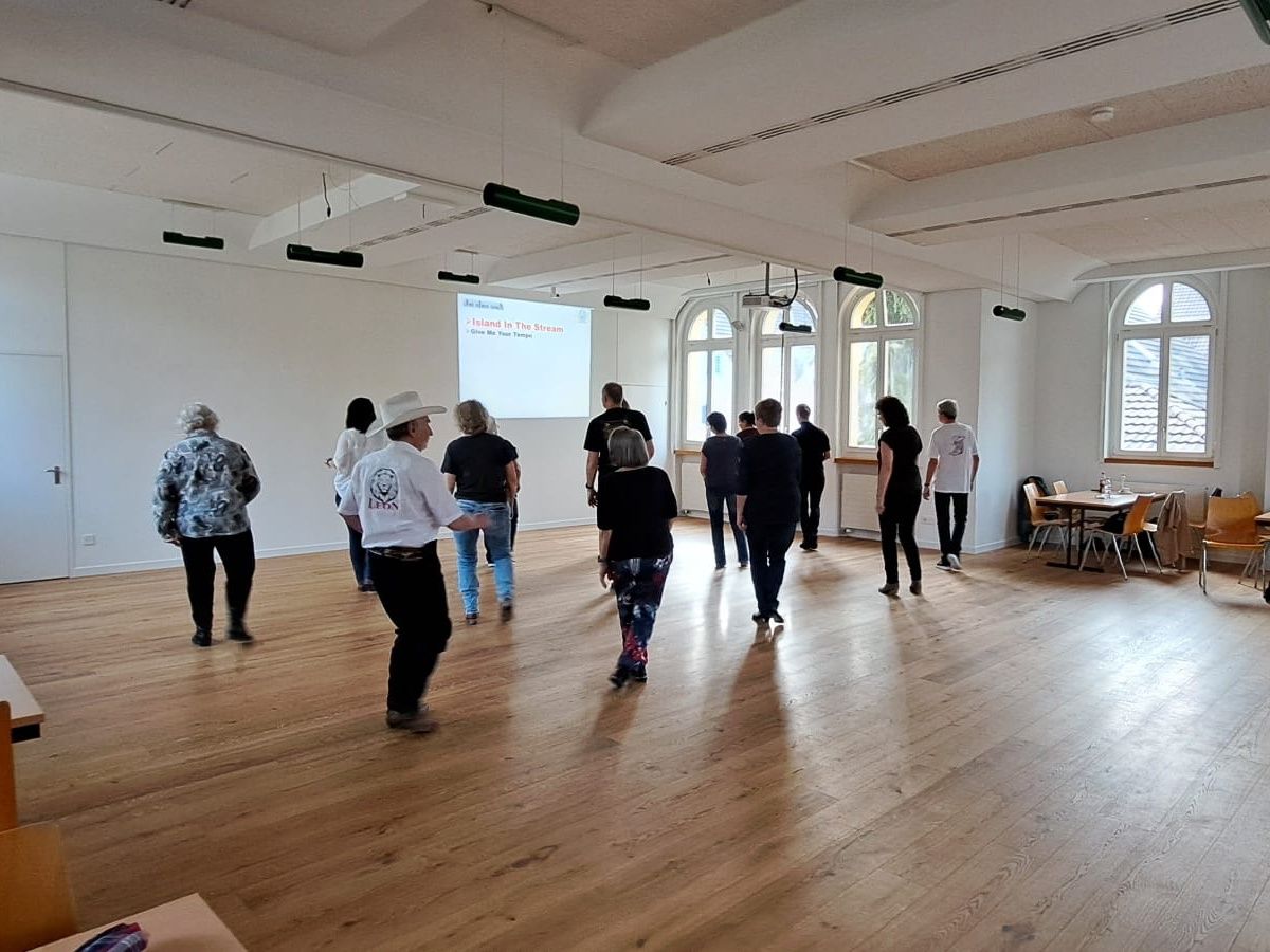 Danças em Linha: Atividade em grupo numa sala com participantes a dançar, comunidade e movimento.