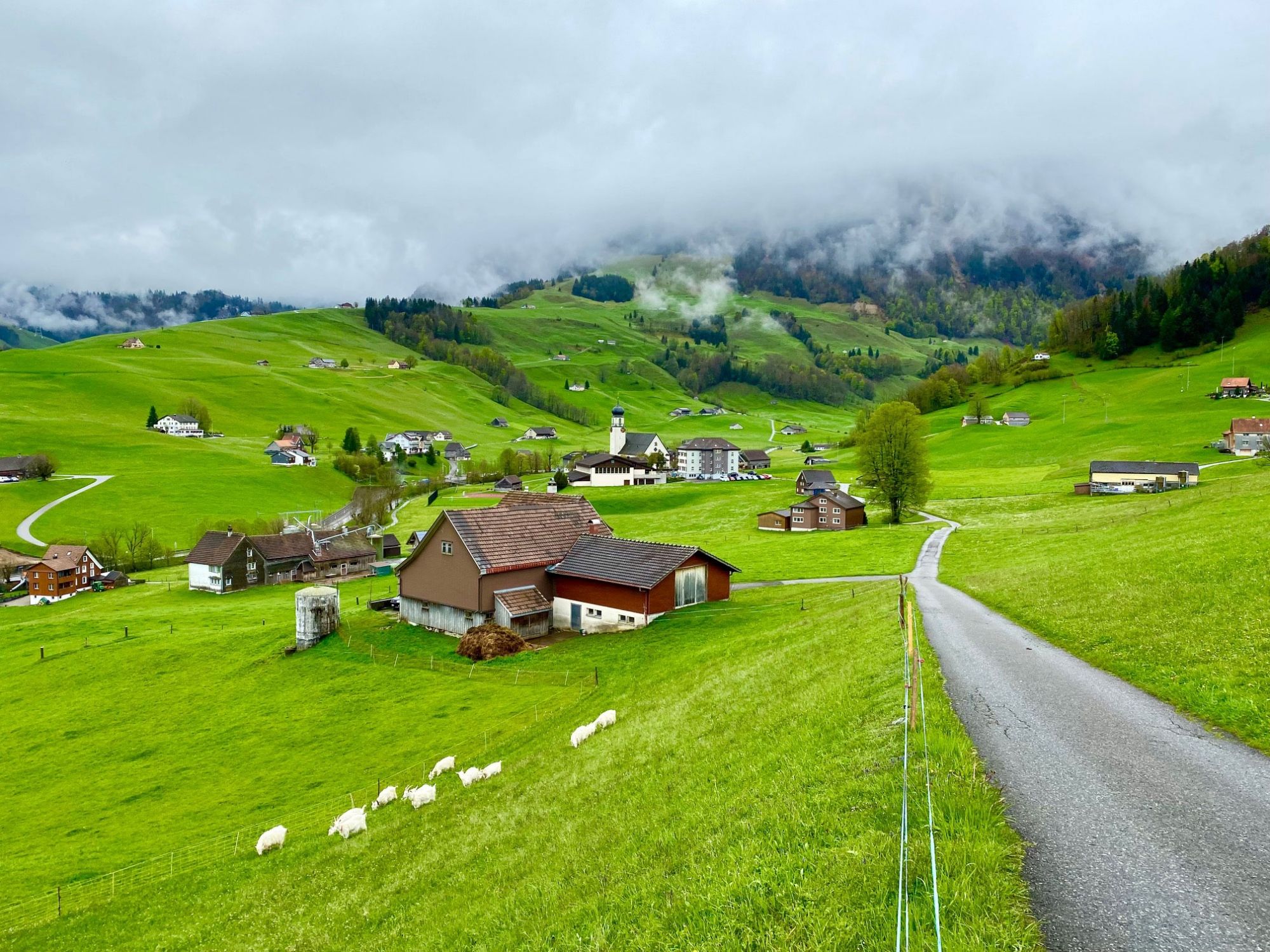 Heidi Svizzera Fattoria: paesaggio pittoresco con prati verdeggianti e montagne impressionanti in Svizzera.