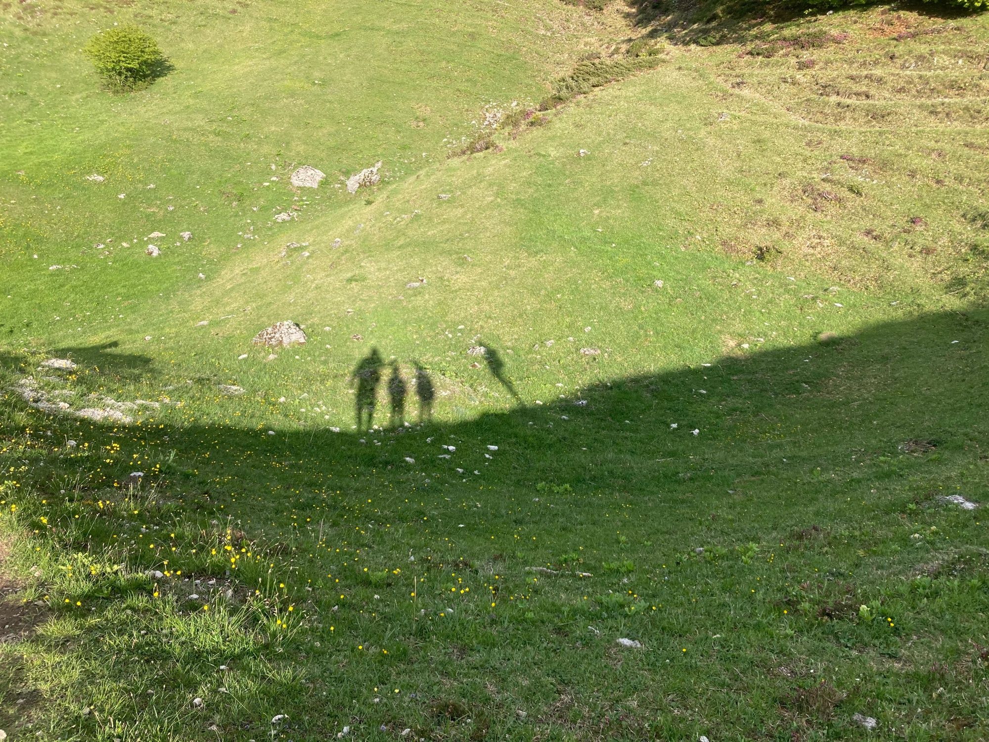 تسلق العائلات: ظلال المتسلقين على منحدر أخضر في الطبيعة خلال الصيف.