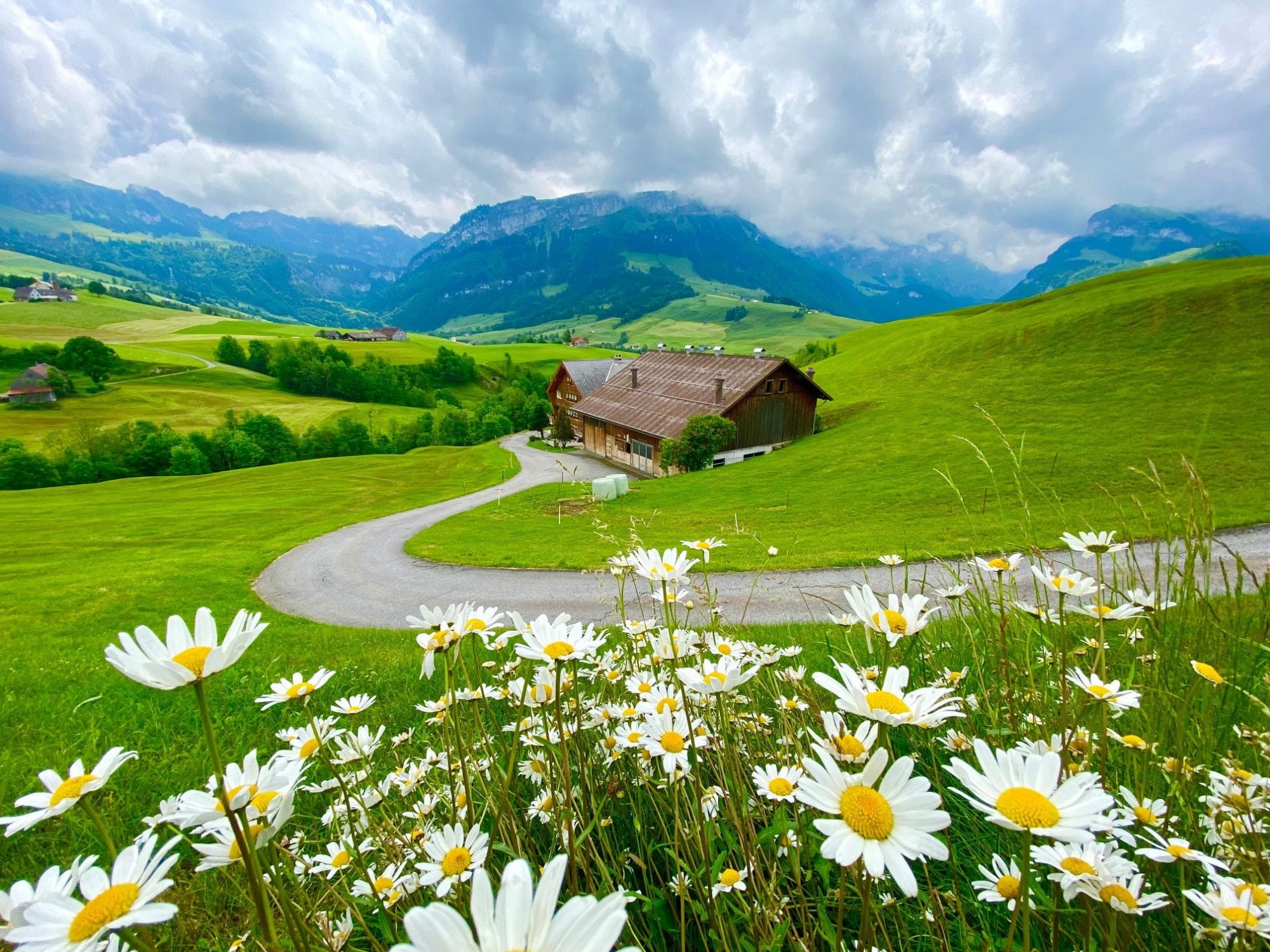 Heidi Swiss Farm: paesaggio idilliaco con fiori e montagne sullo sfondo, ideale per gli amanti della natura.