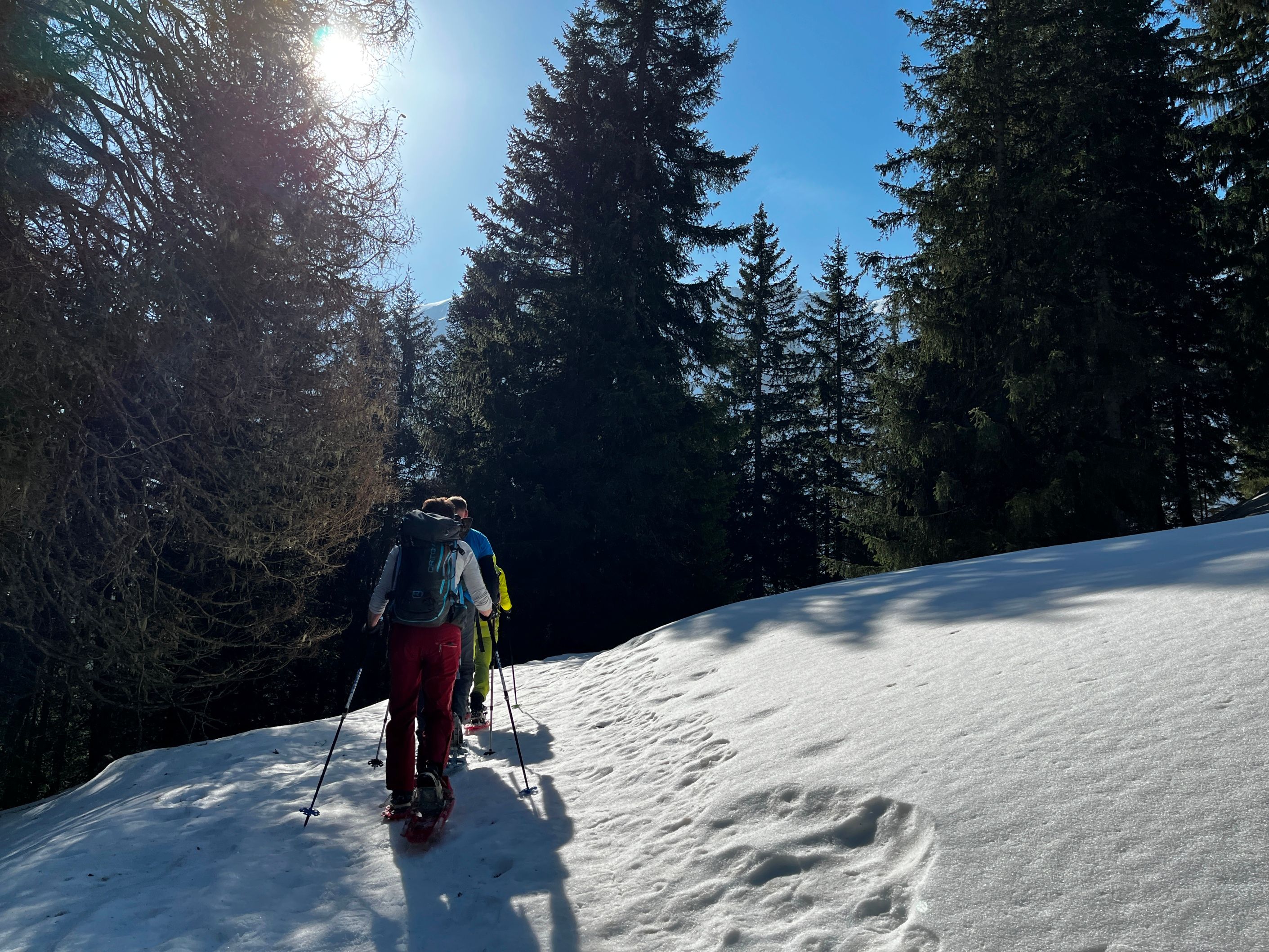 Snöskovandring i bergen, Upplev den pittoreska vinterlandskapet och njut av naturens stillhet.