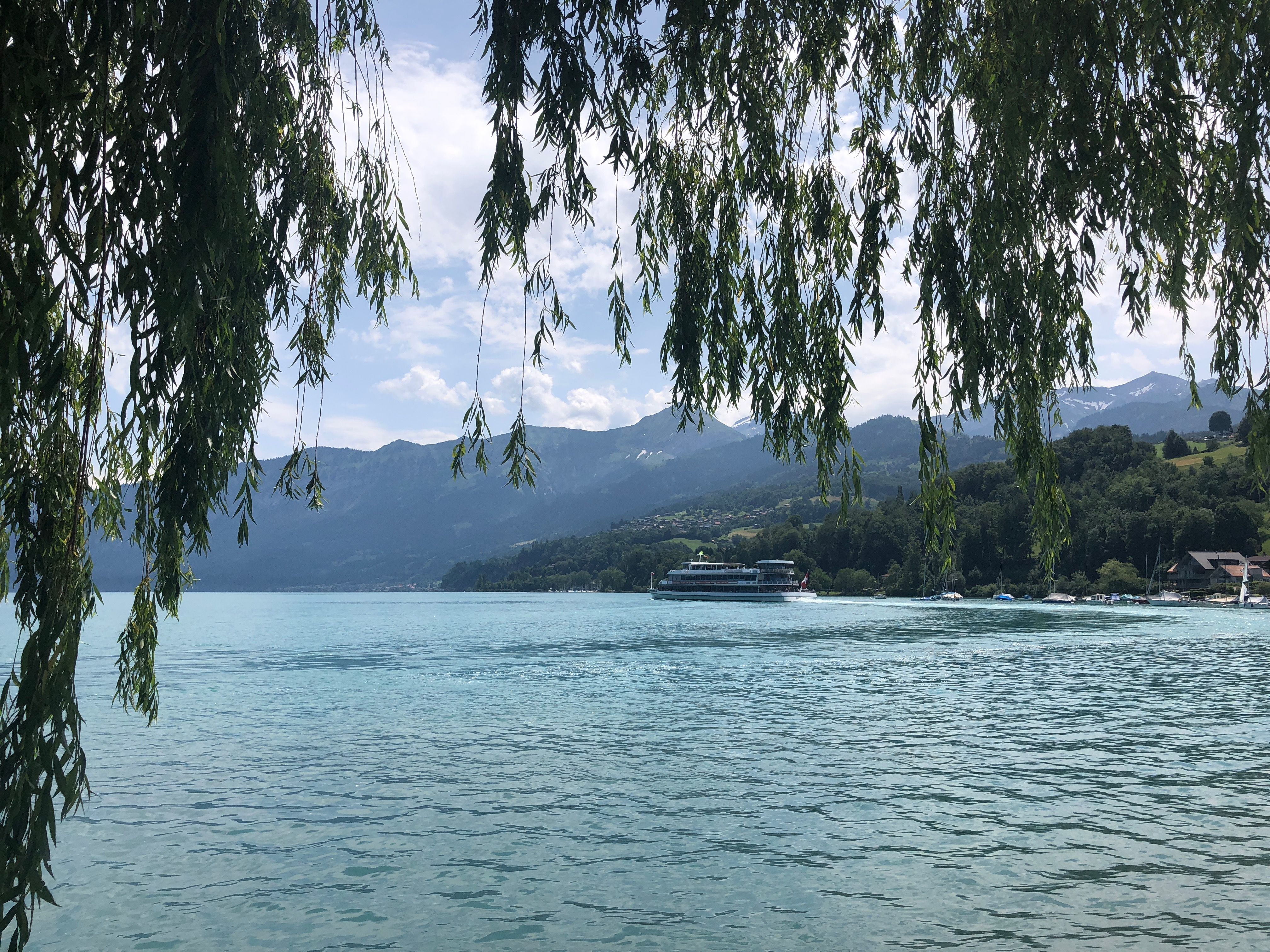 Schiff Thunersee fährt in der Nähe von grünen Ufern und Bergen.