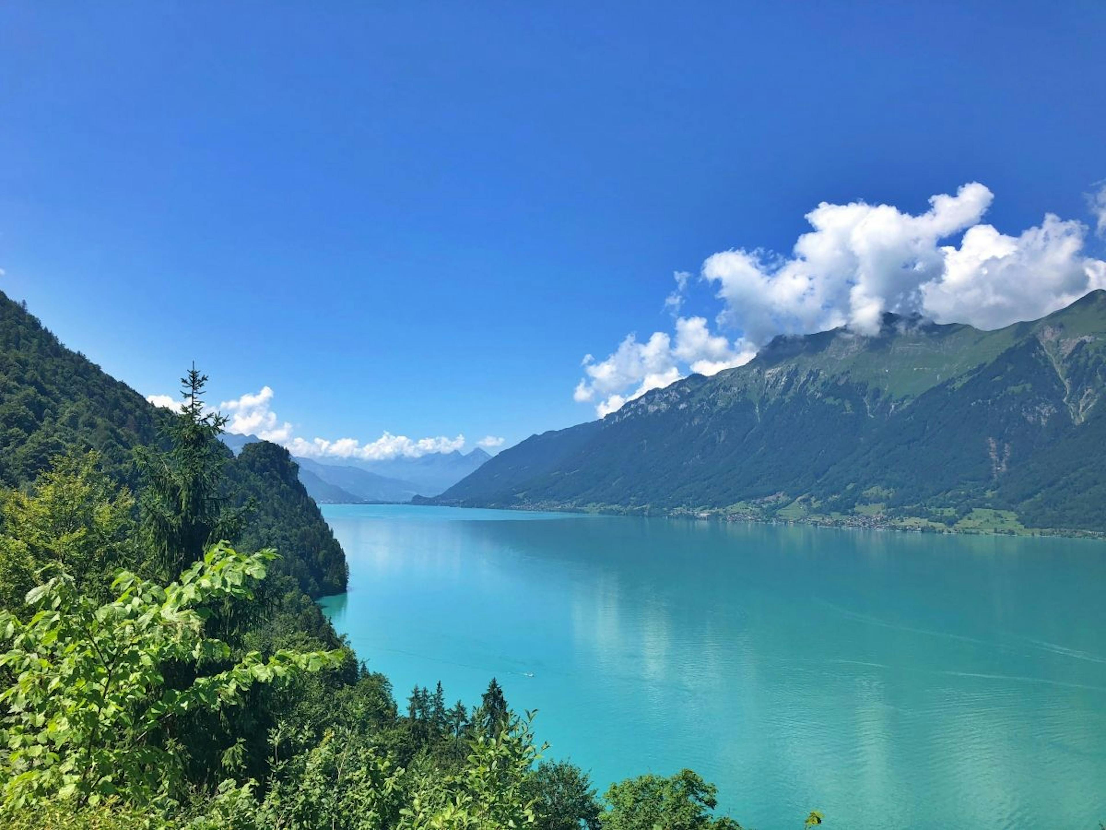 Brienzersee mit Türkisblauem Wasser, umgeben von Bergen und Wald, sonniger Tag im Sommer.