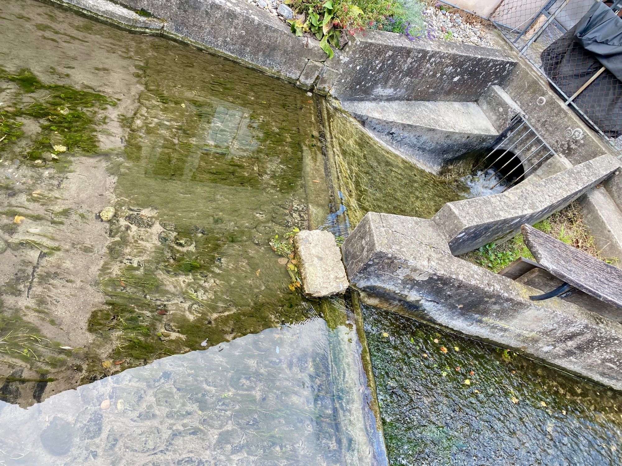 Moinho à beira da água com água limpa e entorno na natureza.