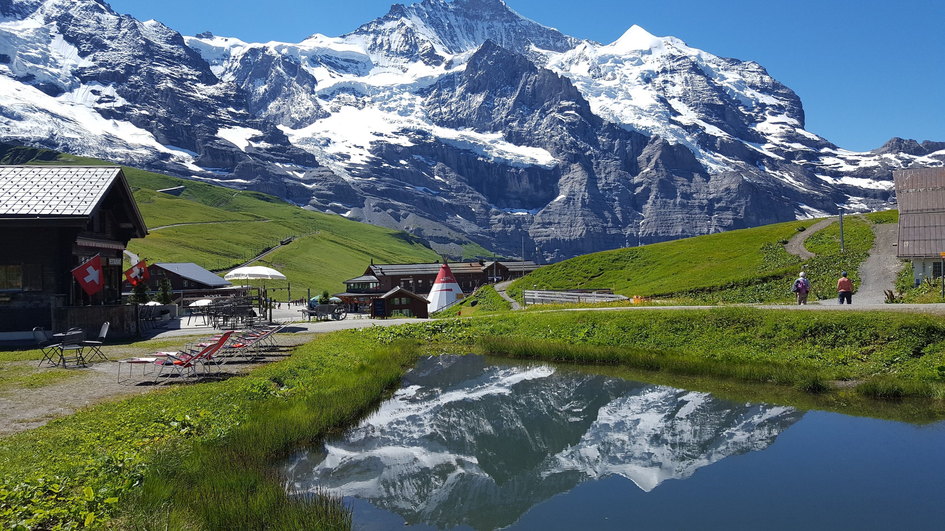 アルプスの景色を眺めながら、草原と山小屋のあるインターラーケンの個別ツアー。