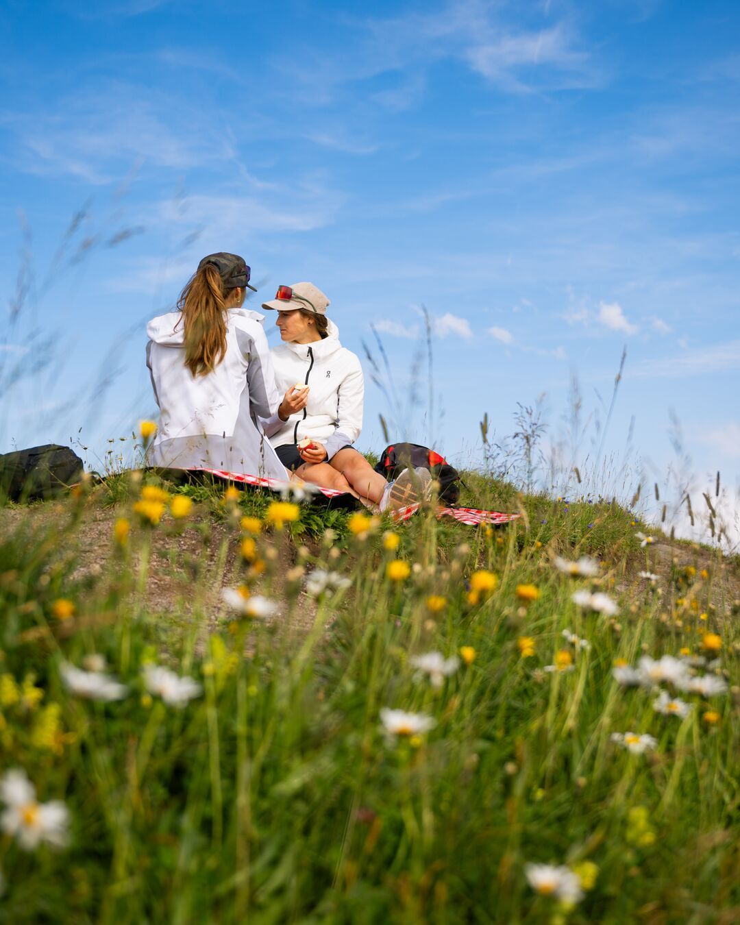 جولة غارميل: استمتع بتجربة الطهي خلال رحلة مشي في الطبيعة مع الأصدقاء.