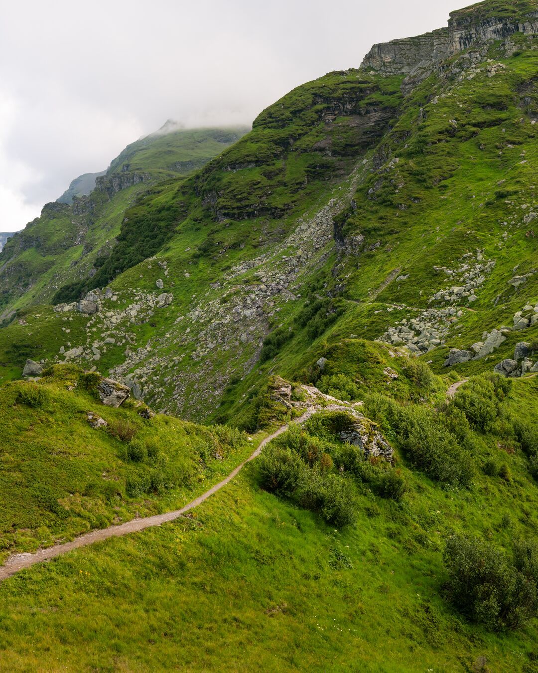 رحلة جبل غارميل: استمتع بجمال الطبيعة والجبال الرائعة في رحلة المشي على ارتفاع جبل غارميل.