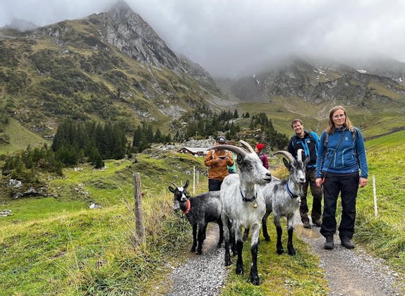 Randonnée de trekking avec les chèvres dans le pittoresque Isenthal avec une nature à couper le souffle et des gens sympathiques.
