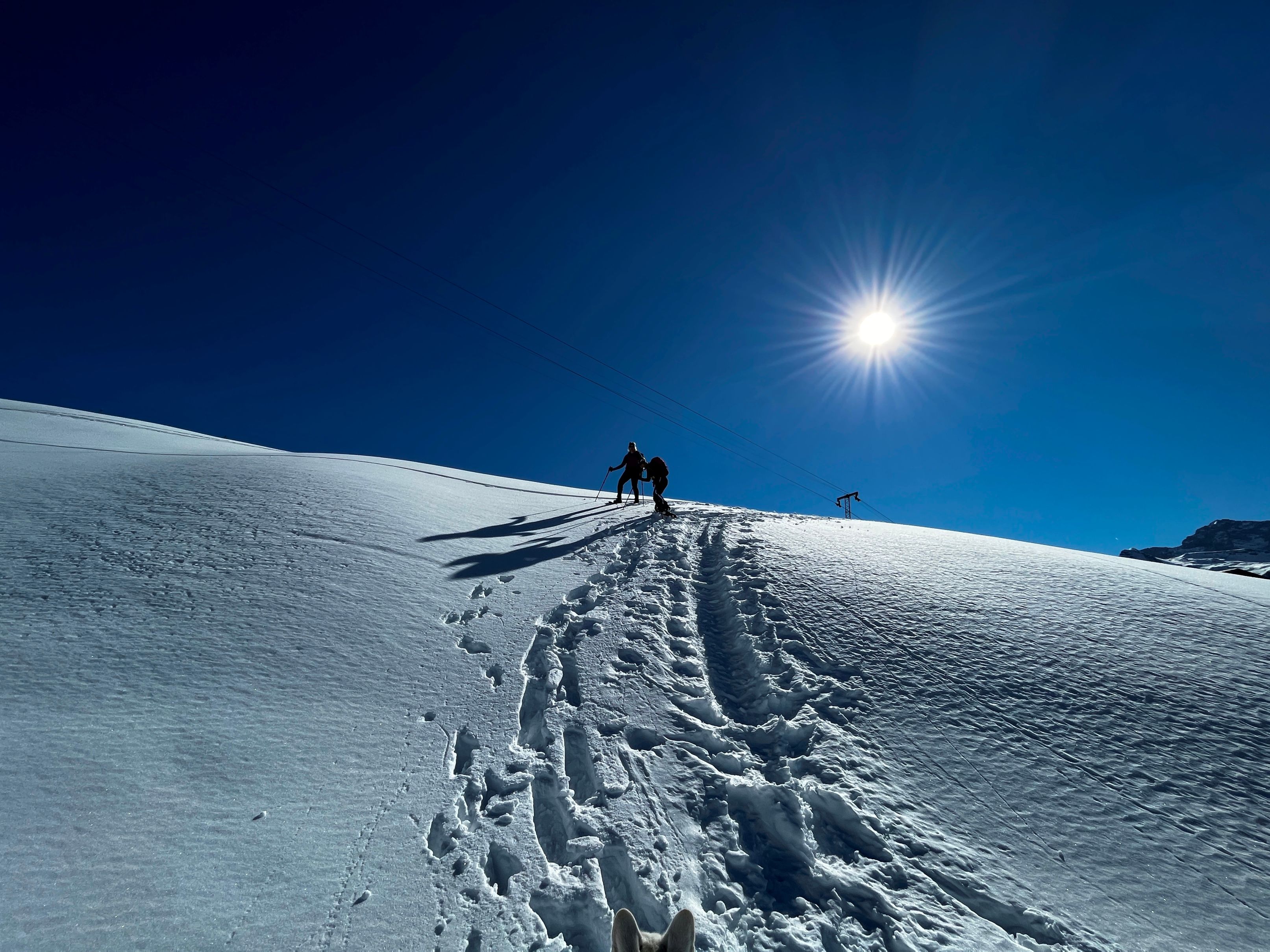 Snöskovandring på Honigberg, njut av vintriga landskapet med vänner och en hund.