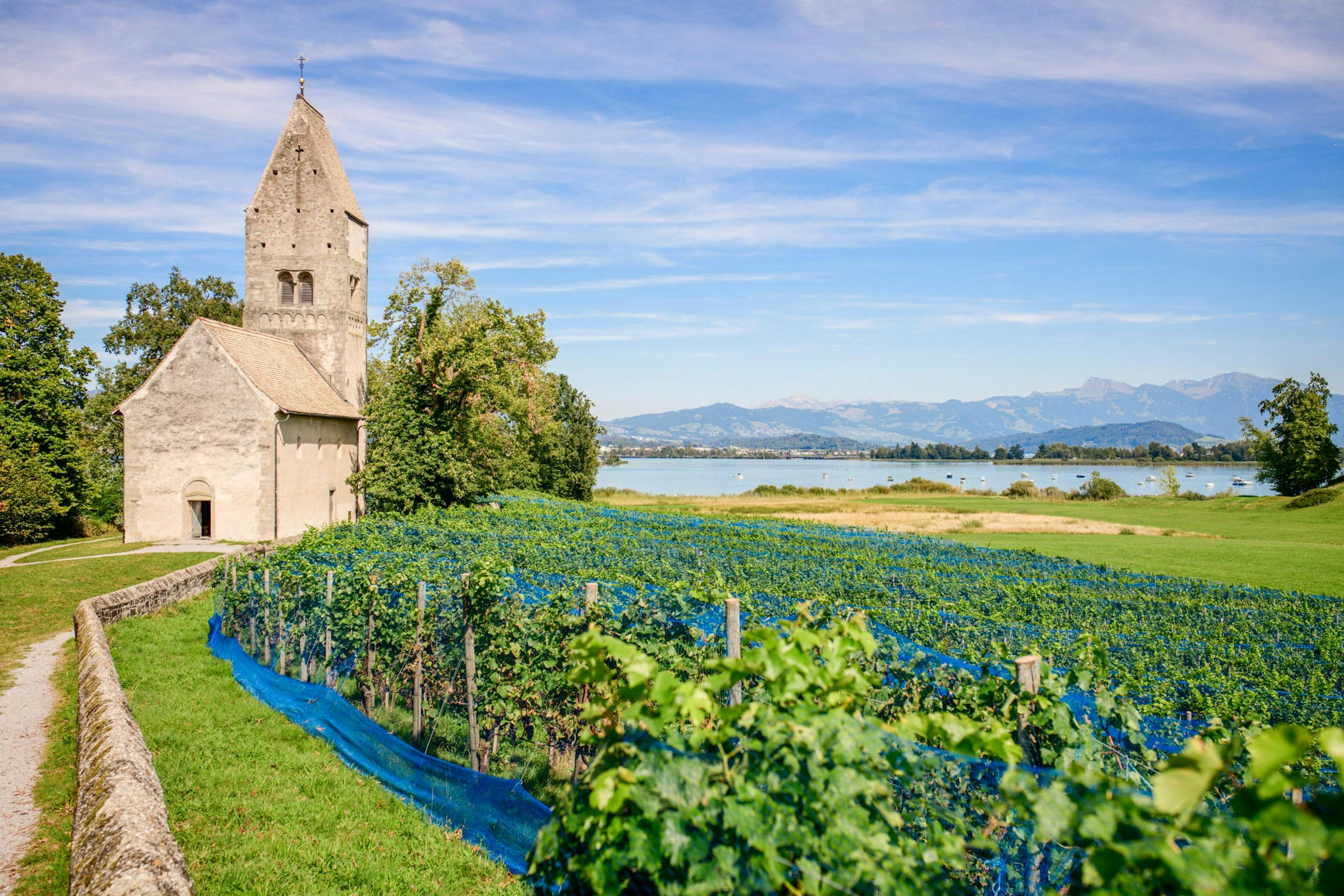 Ufenau : vignobles idylliques et chapelle historique au bord du lac de Zurich sous le soleil d'été