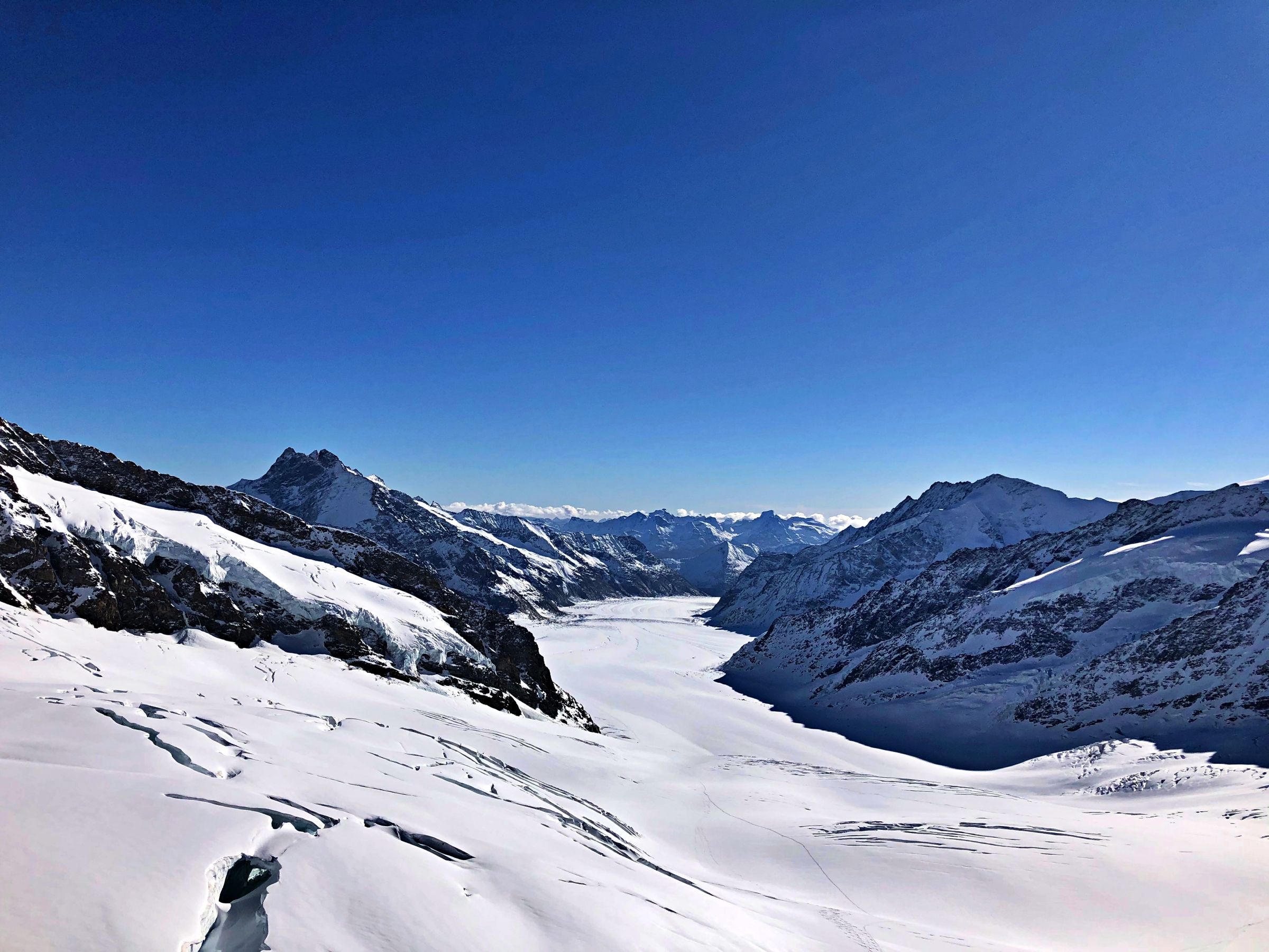 Jungfraujoch: vista impressionante sulle montagne nevose e sul ghiacciaio dell'Aletsch