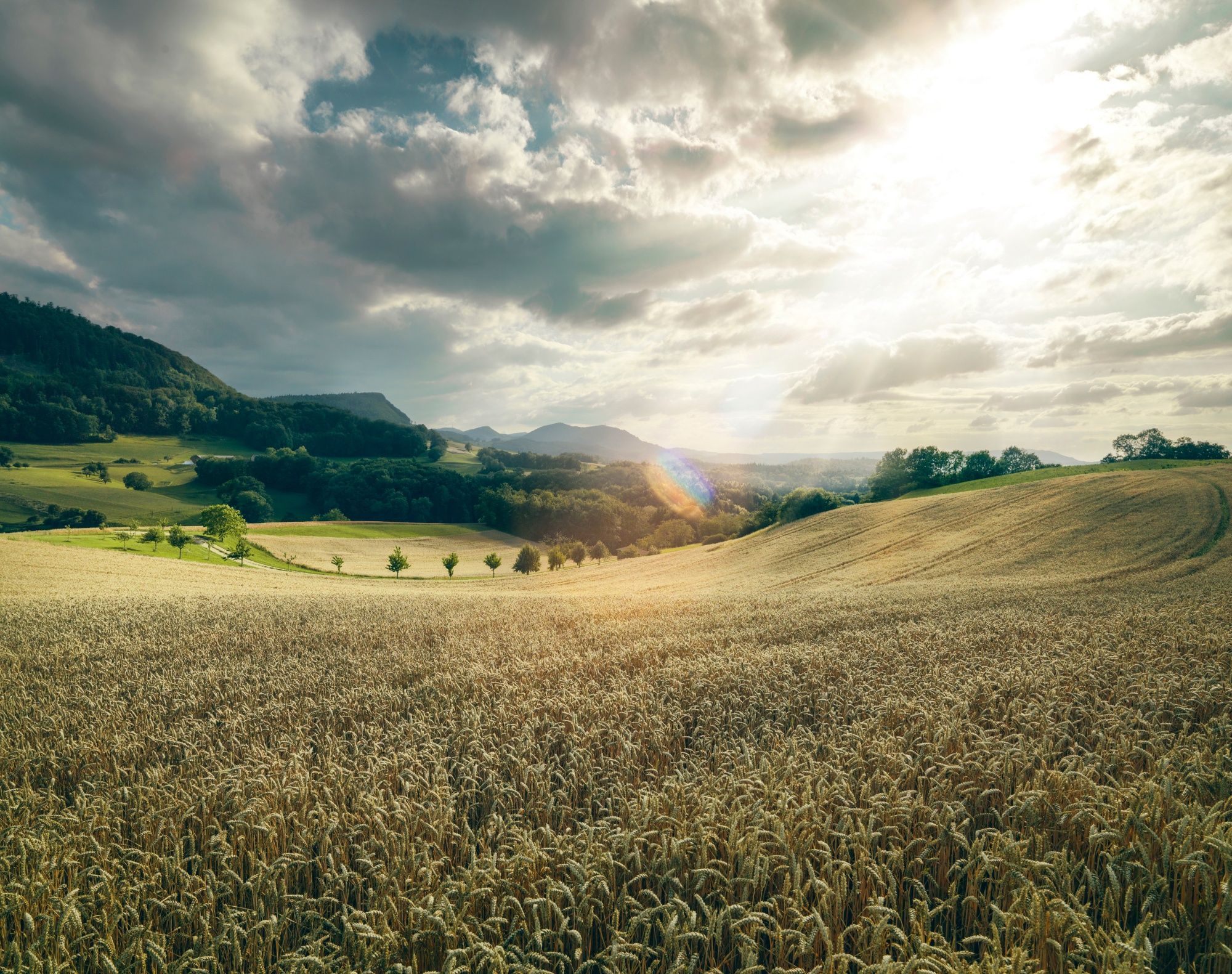 Jurapark Aargau: picturesque landscape with fields, hills, and clouds over the mountains.