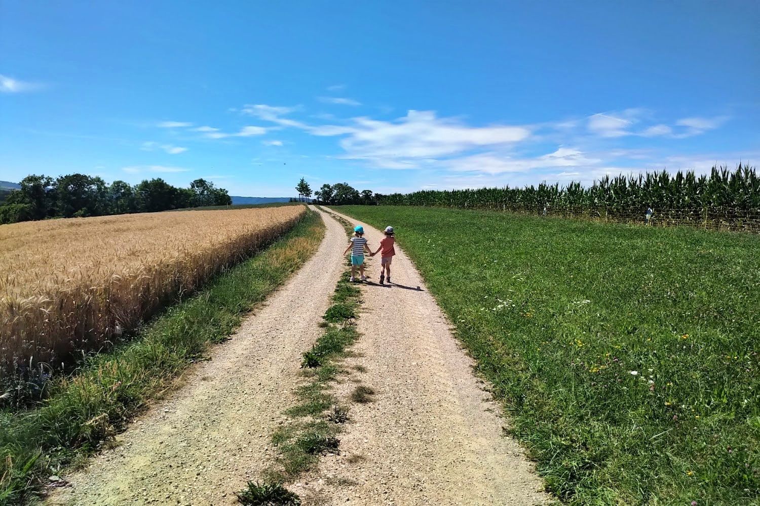 Nature: Kids explore nature in the Jurapark with fields and meadows in nice weather.