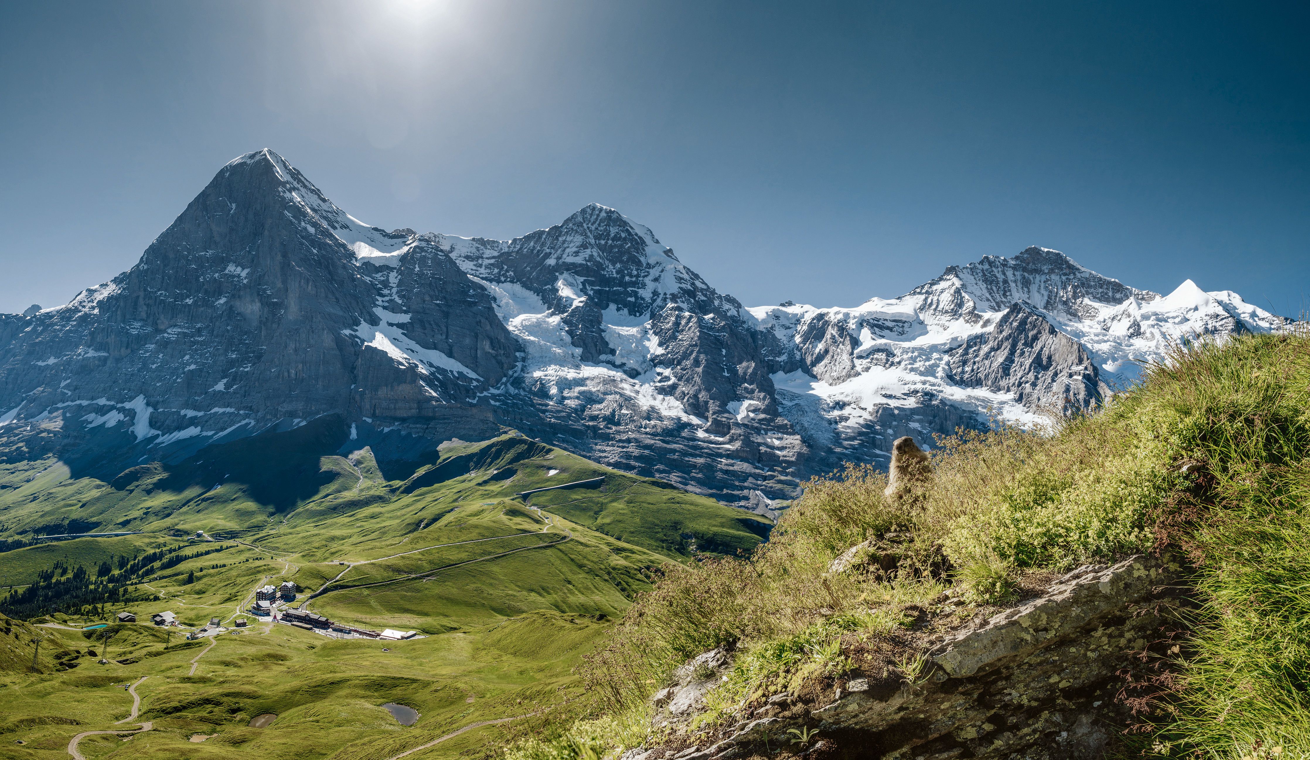 Kleine Scheidegg avec vue sur la Jungfrau, prairies verdoyantes et montagnes enneigées