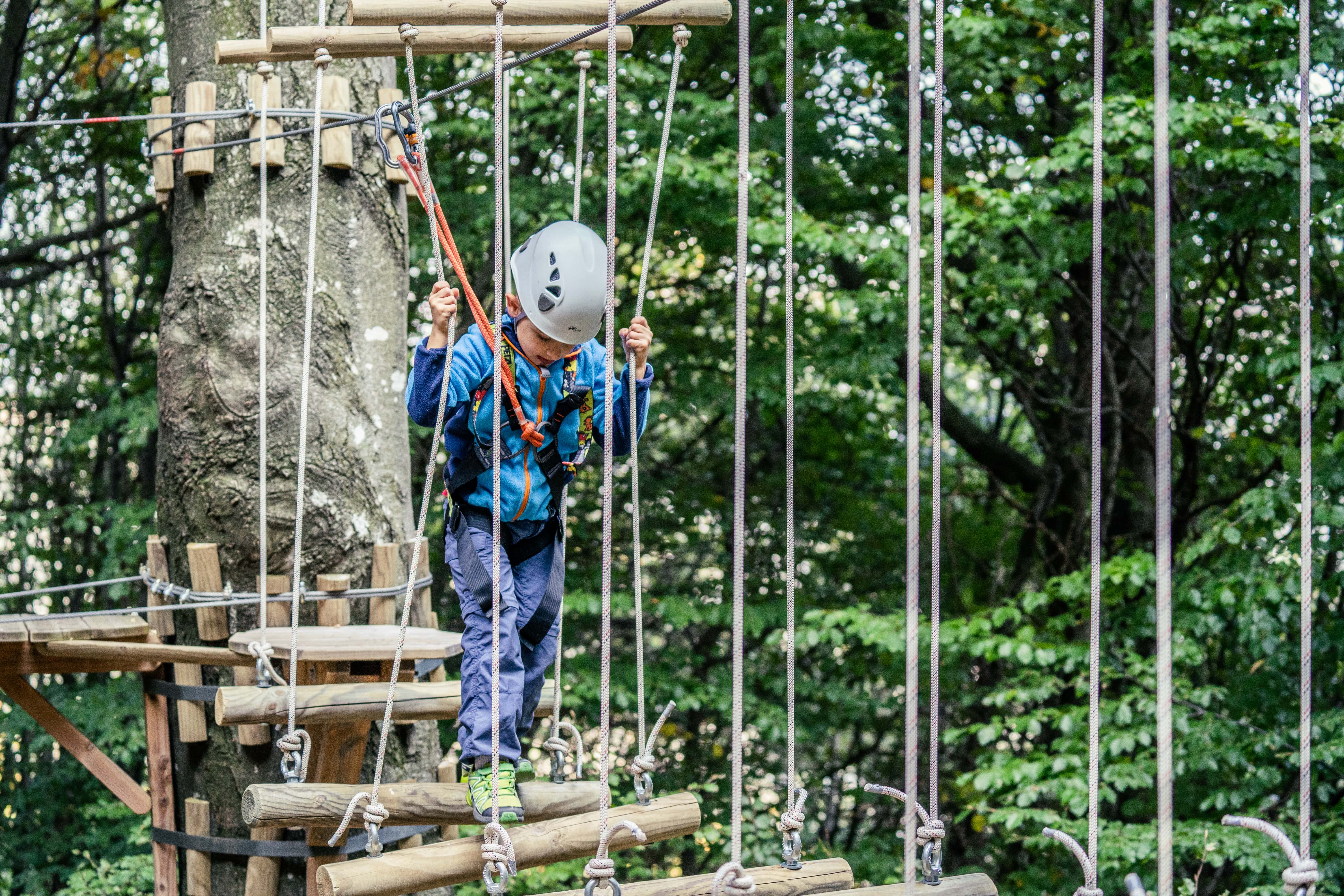 मोंटे तरामो क्लाइंबिंग पार्क: जंगल में रस्सी पुल पर बच्चे