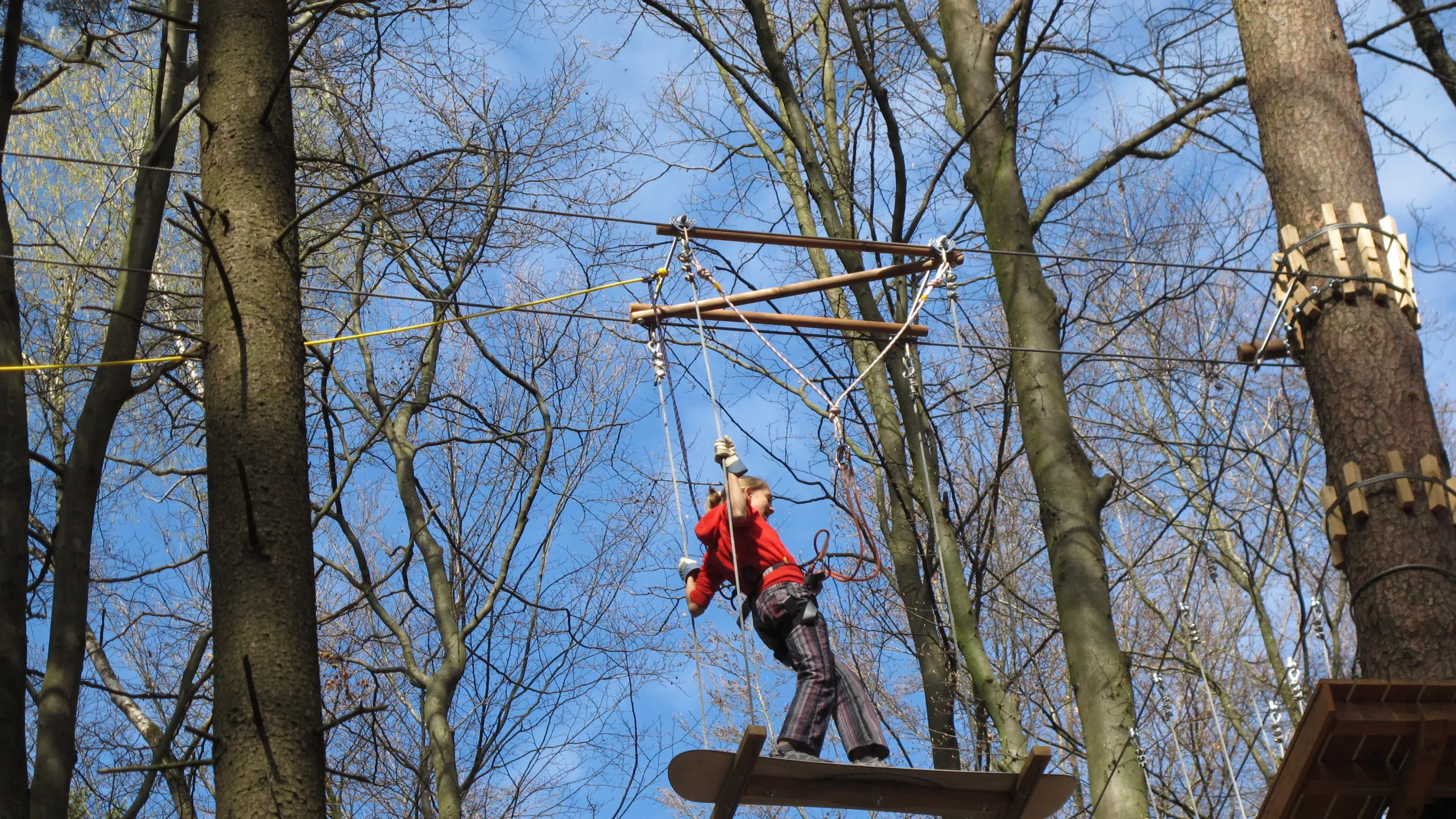 Kloten Seilpark: Junge auf Seilbahn zwischen Bäumen bei klaren Wetter.