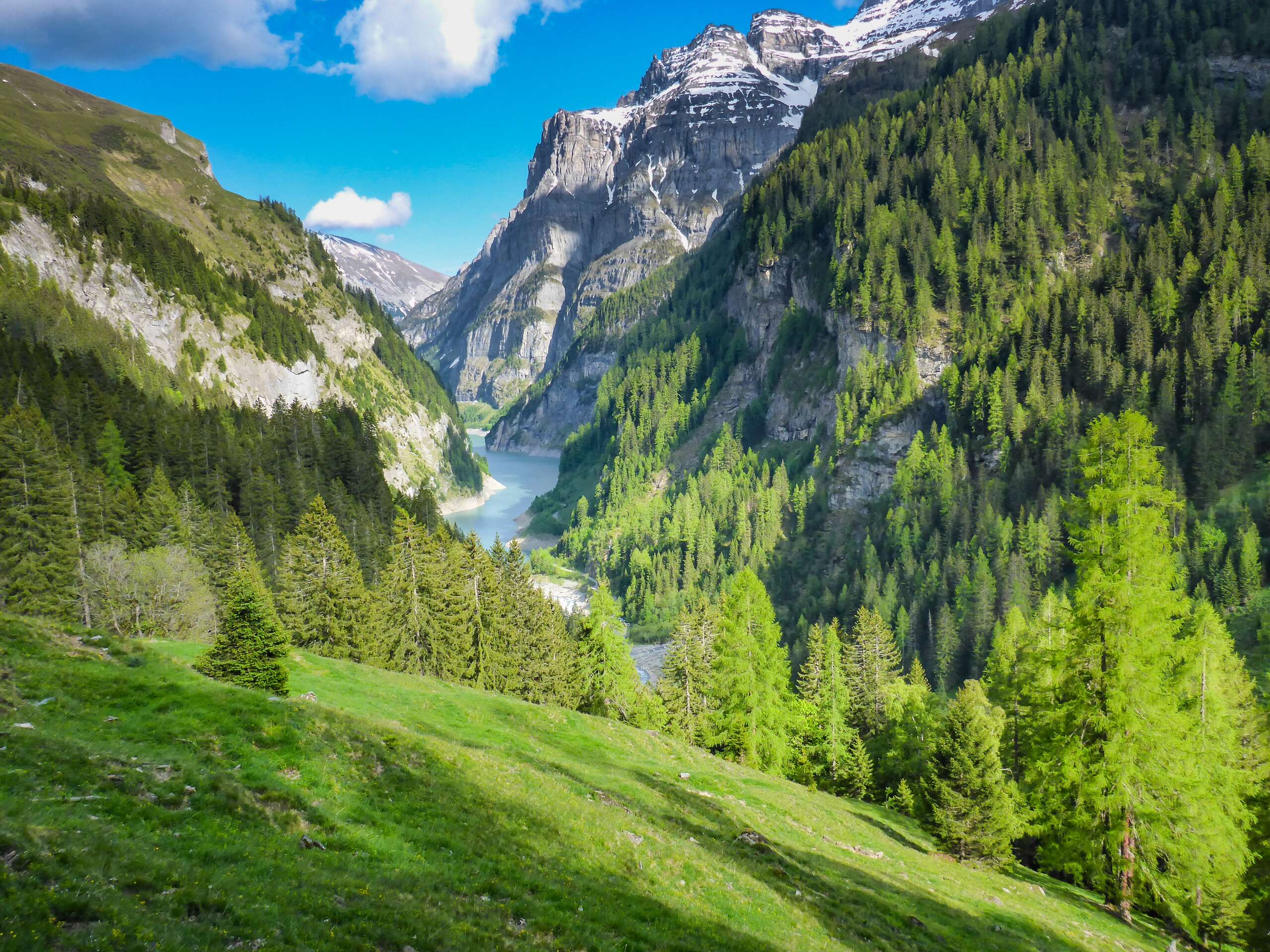 Bad Ragaz Taminatal with green forests and mountain landscape