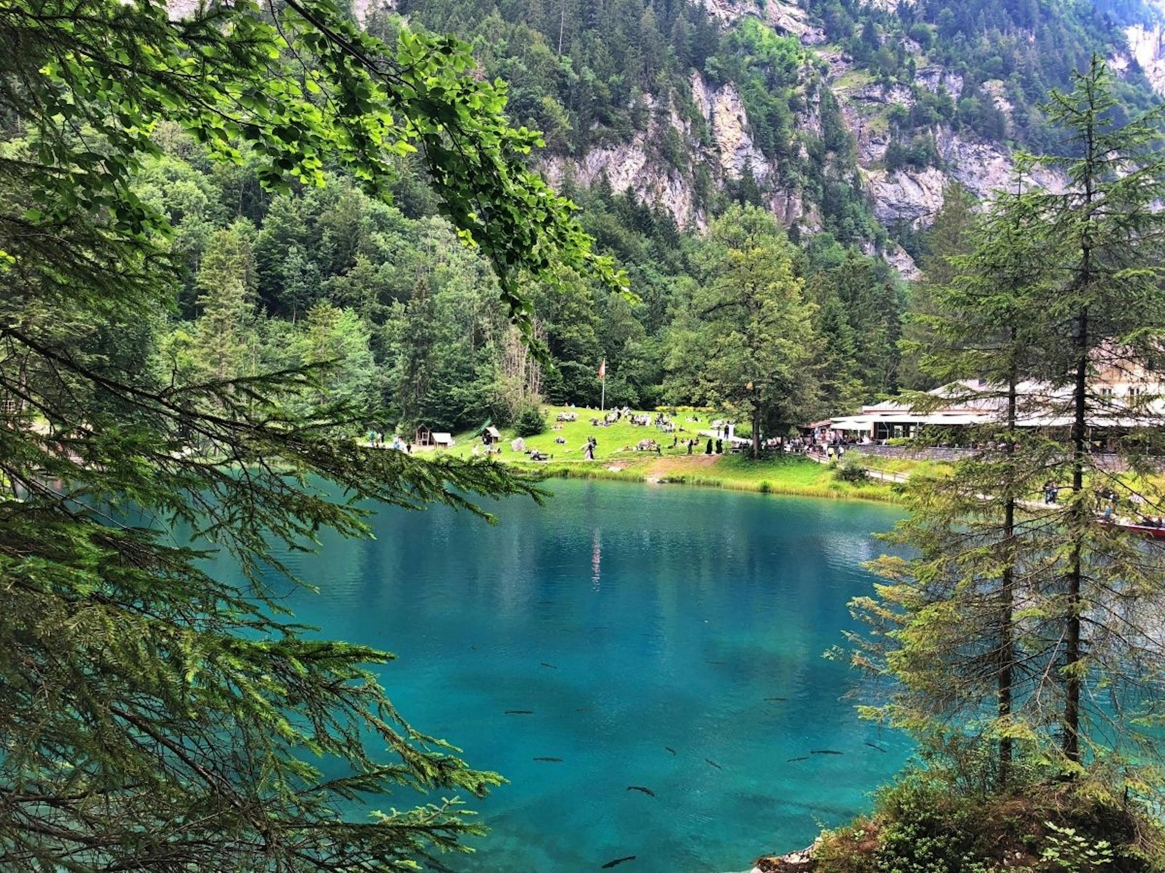 Kandergrund Blausee: idyllische Landschaft mit Badegästen im Sommer und umliegender Natur.