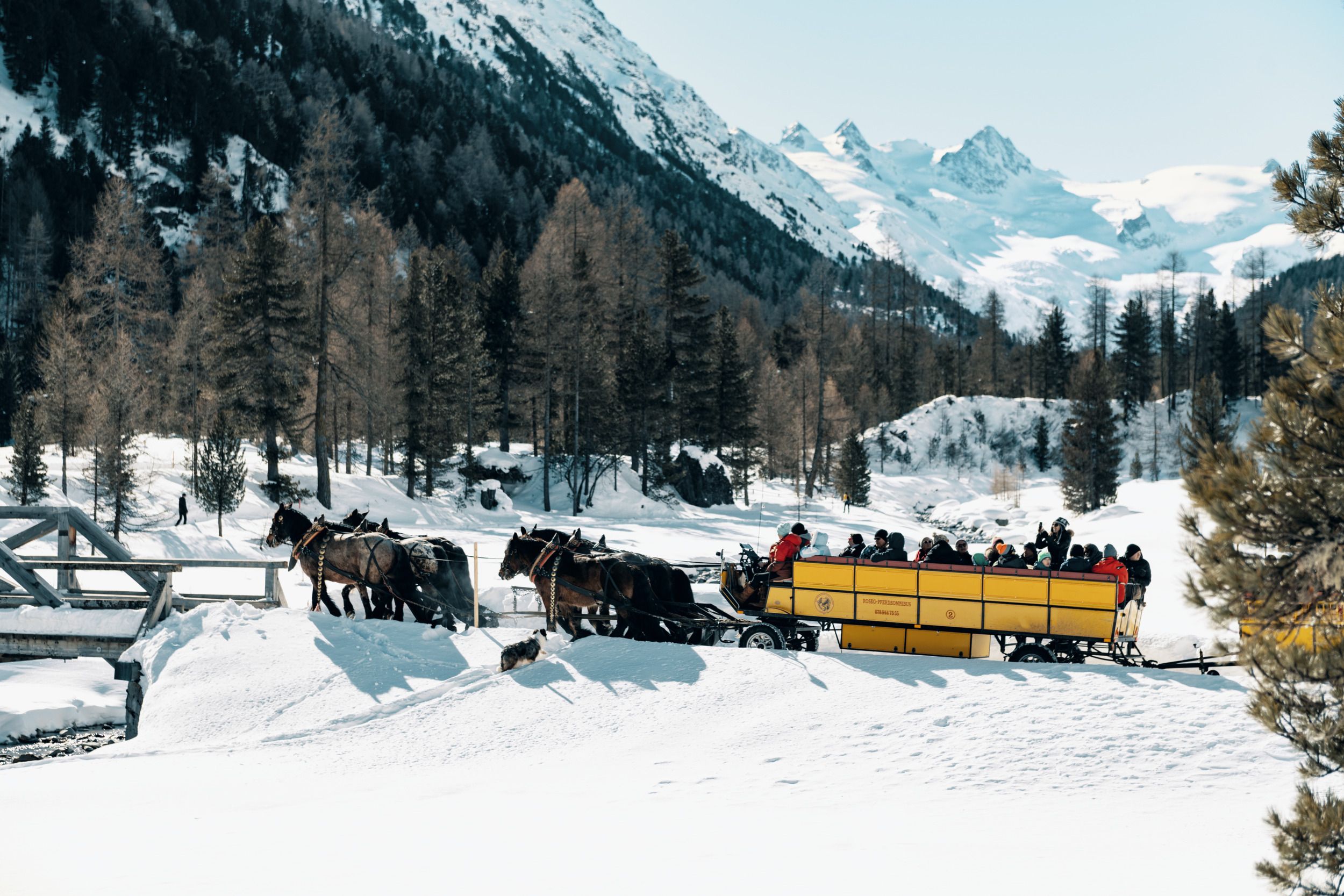 Val Roseg Wohlis Kutschenbetrieb mit Pferdeschlitten im Winter in der Schweiz.