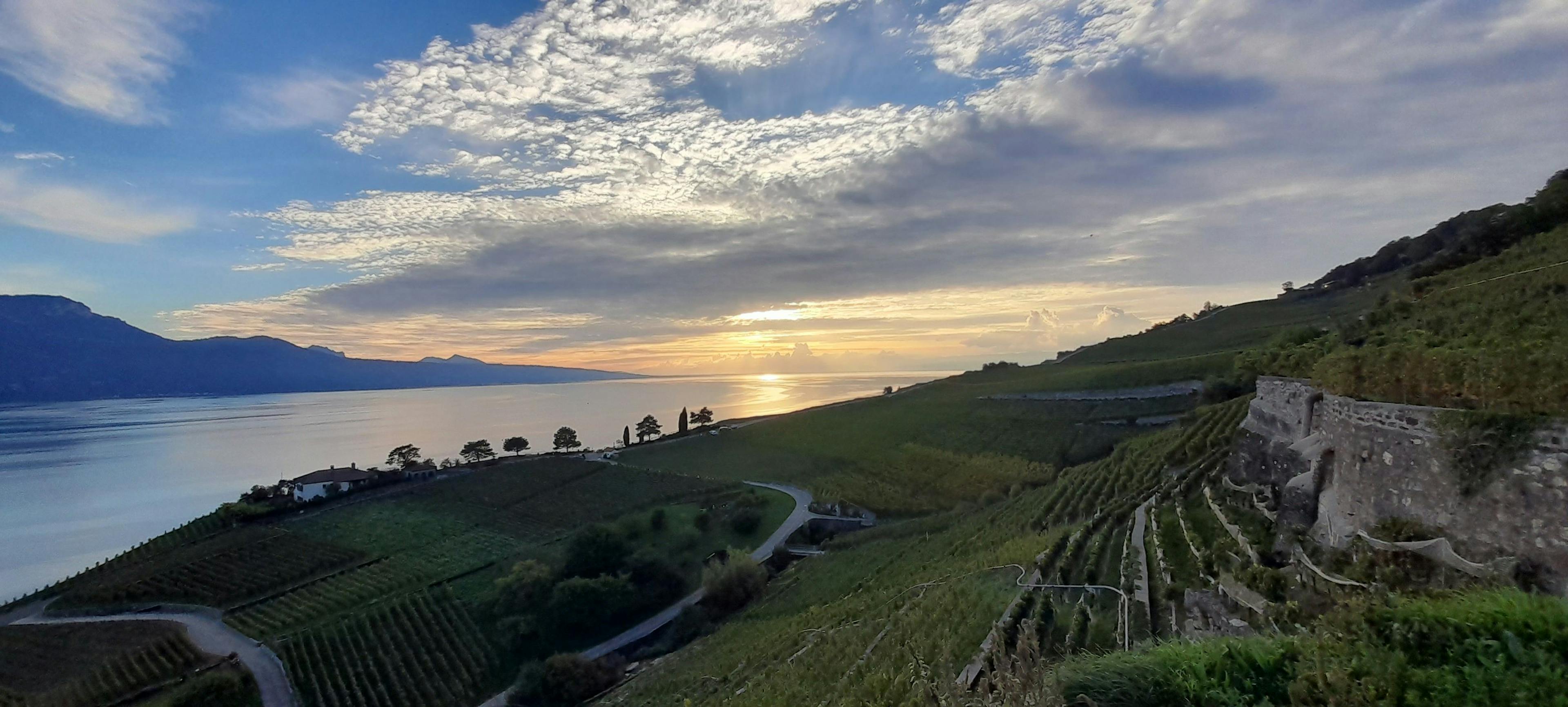 Lavaux Weinberge: malerischer Sonnenuntergang über dem Genfersee mit faszinierender Landschaft