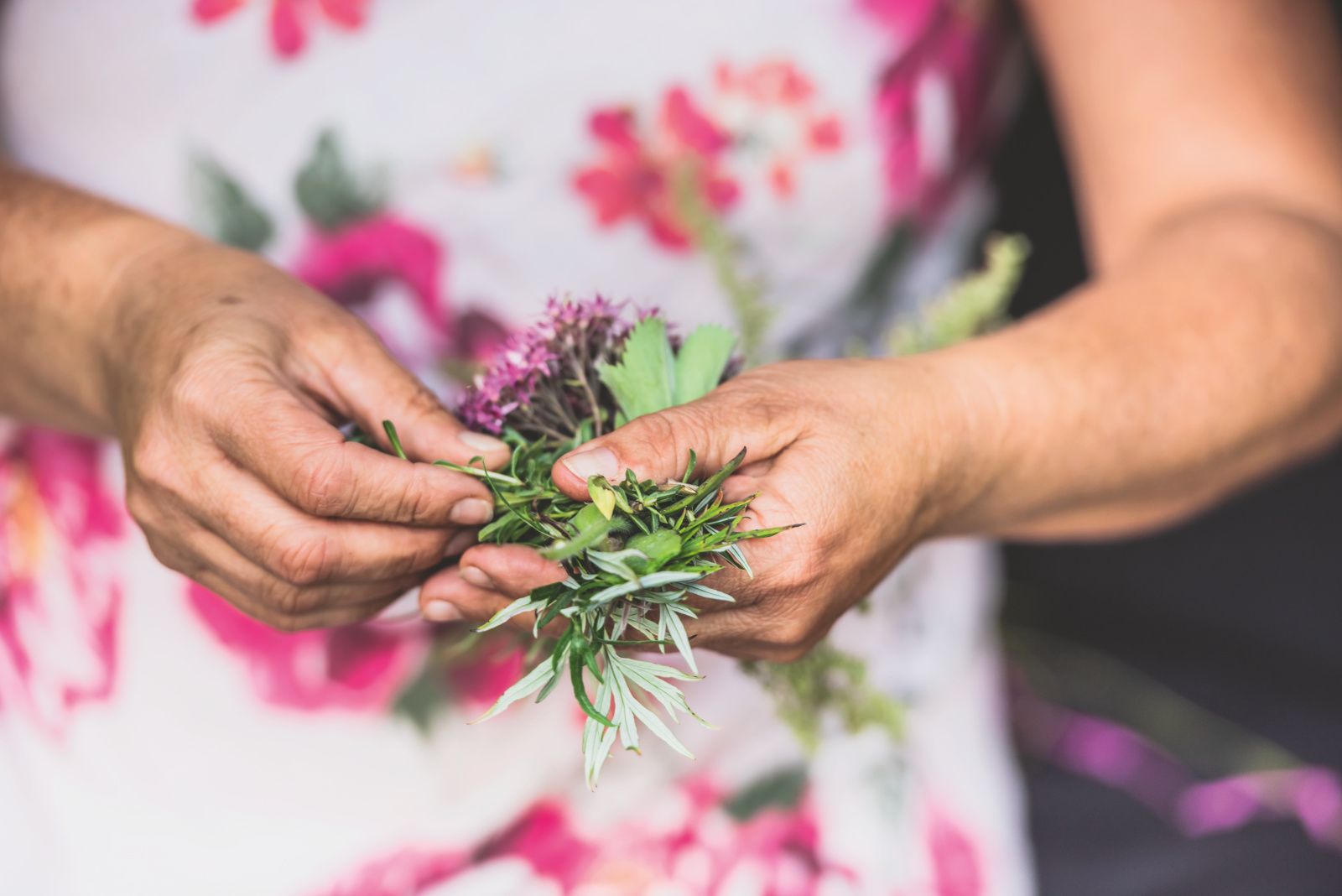 जंगल जड़ी-बूटियों का साहसिक अनुभव: अपने आनंद के लिए प्रकृति में ताजी जड़ी-बूटियों की खोज करें।