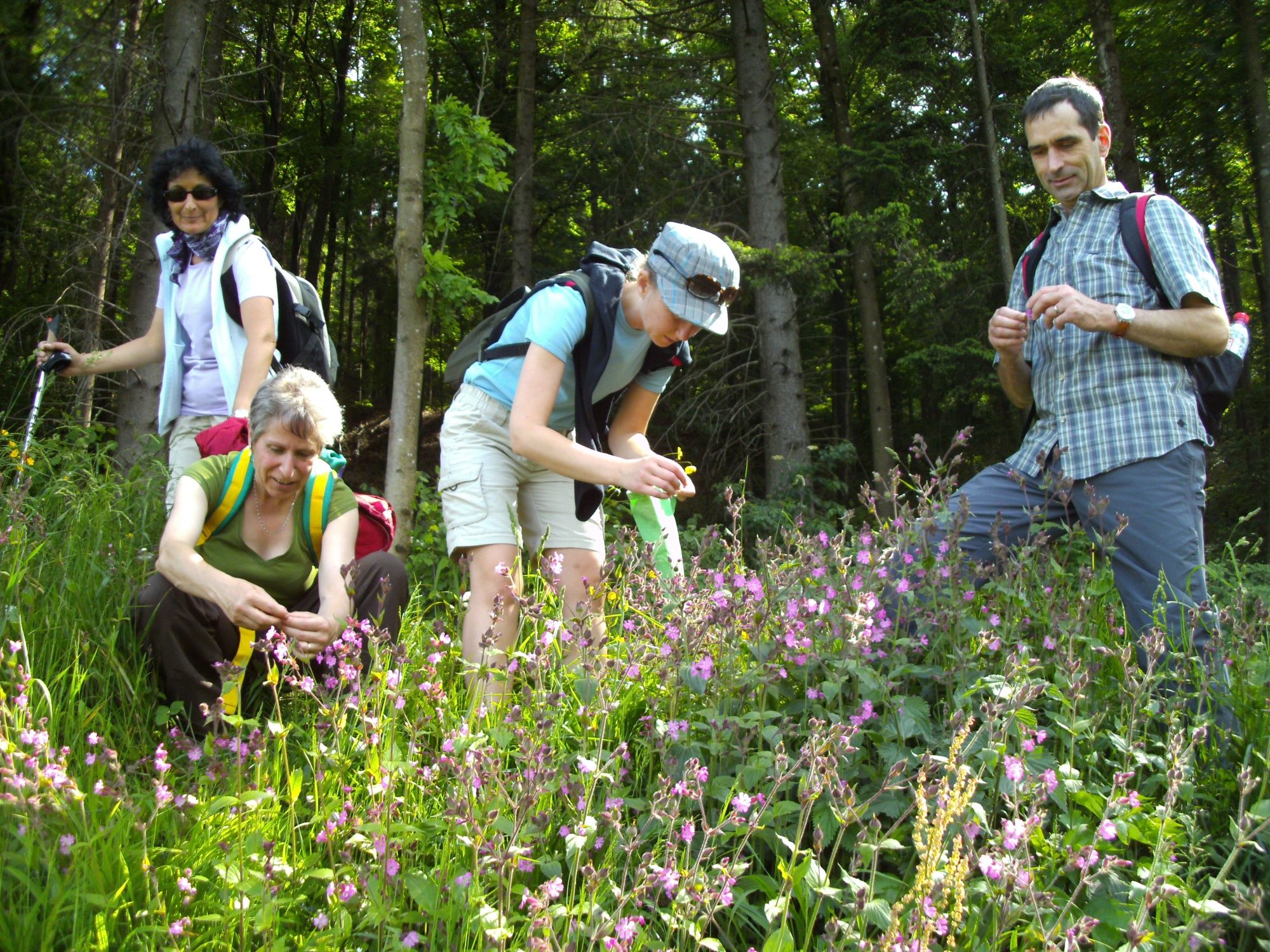 örtspromenad i Jura-parken: upptäck exotiska växter och njut av naturen.