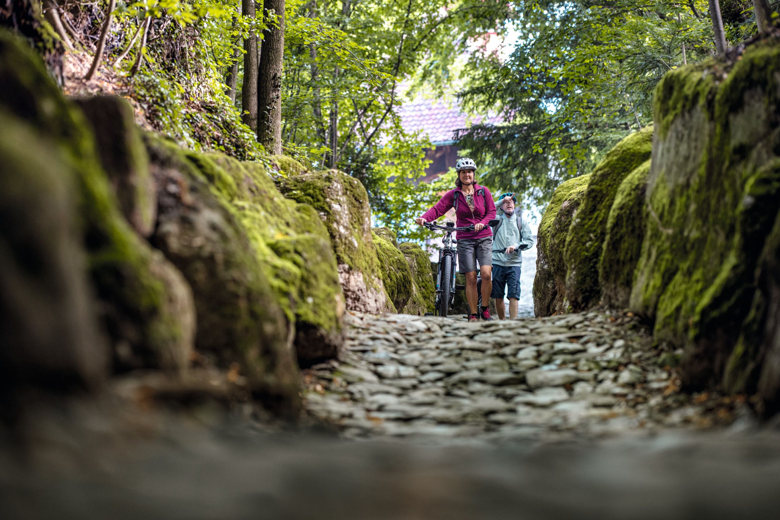 Küssnacht na Rýgí: Objevujte přírodu při cyklistice s rodinou nebo přáteli.