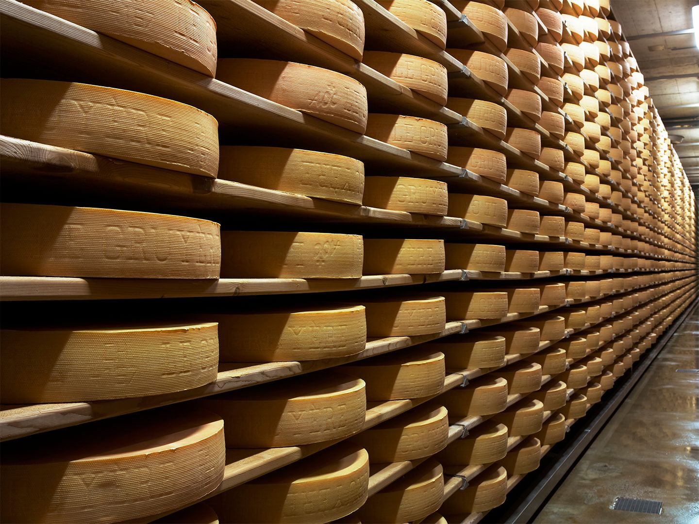 Depo e djathit Gruyere me shumë rrathë djathi, mure të ndritshme dhe rafta të rregulluar.