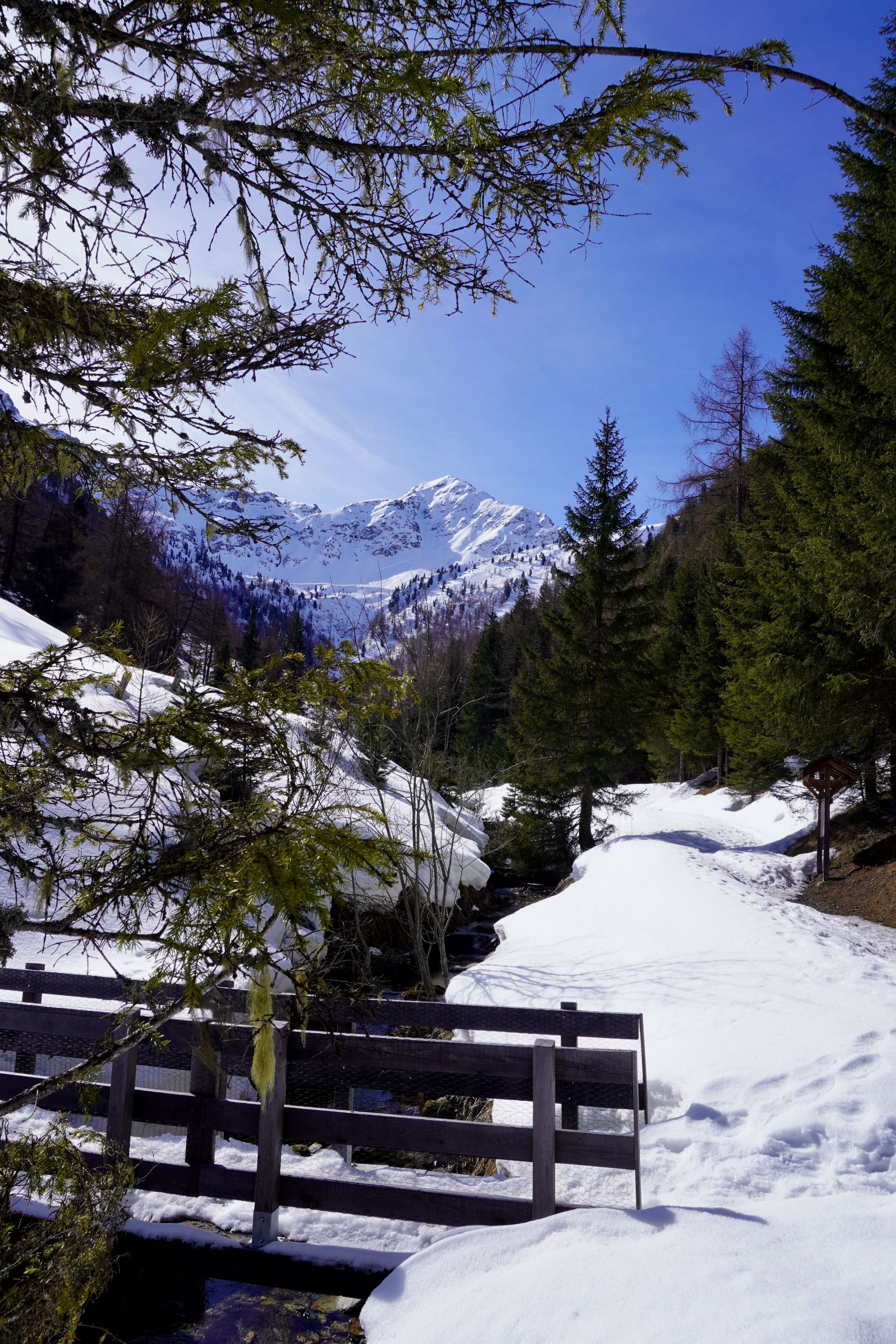 La Tzoumaz: Sníh pokrytí turistické stezky v zimě. Ideální pro venkovní aktivity a milovníky přírody.