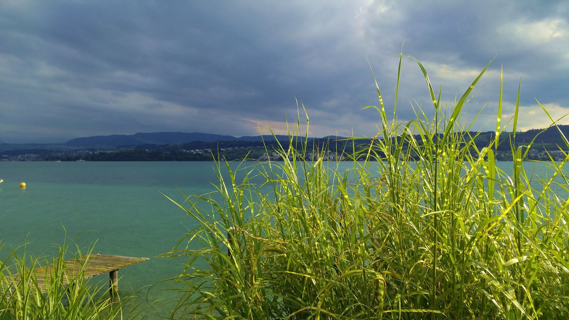 Wakeboard Tour Lake Zurich half or full day Swiss Activities