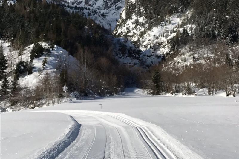 Lysløyper gjennom snødekte vinterlandskap i fjellskogen med fantastisk natur.