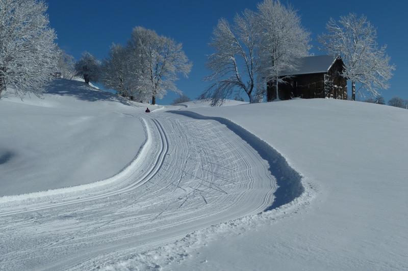 Langrennsløype oppover i vinterlandskap med snø og trær.