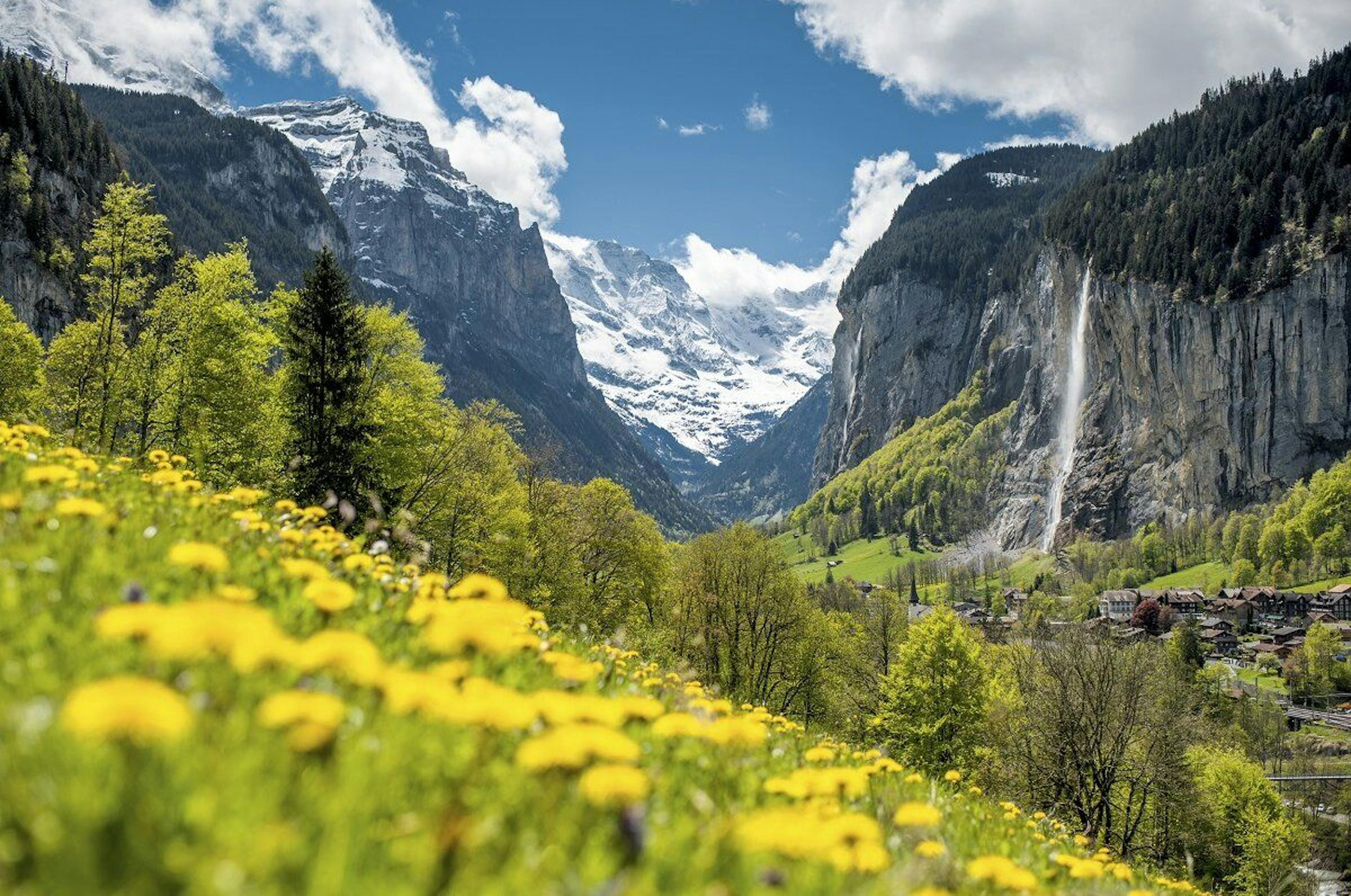 Excursión de un día a Jungfraujoch con vistas a montañas y praderas