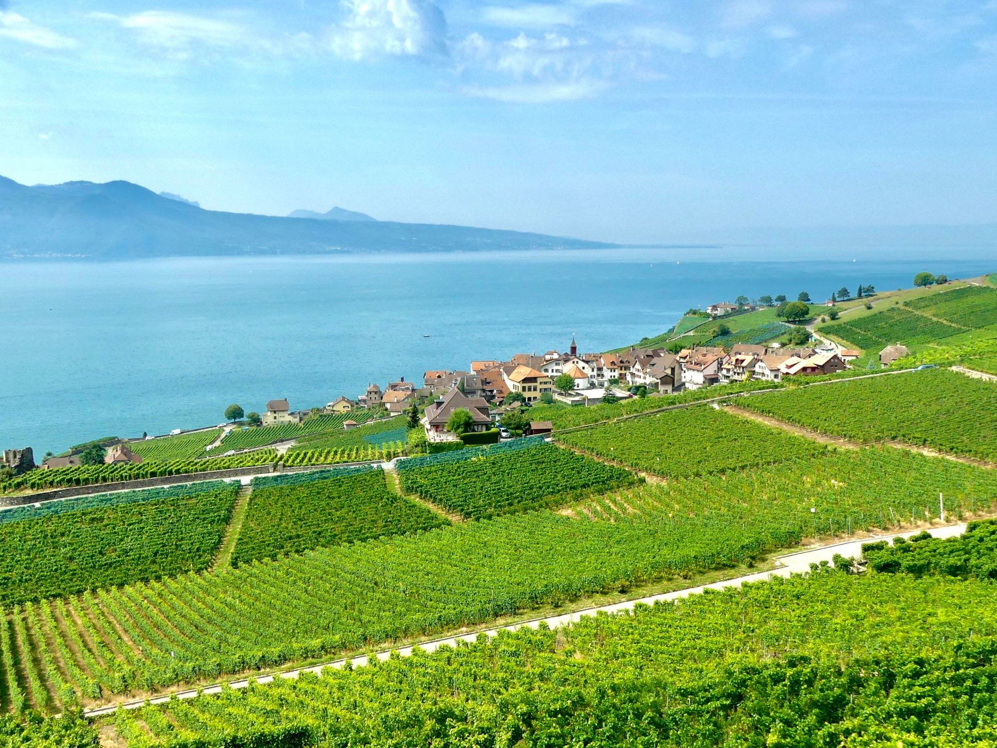 لافو: منظر خلاب لكروم العنب على ضفاف بحيرة جنيف مع قرى ساحرة